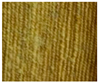 Fibers 13 00002 i005