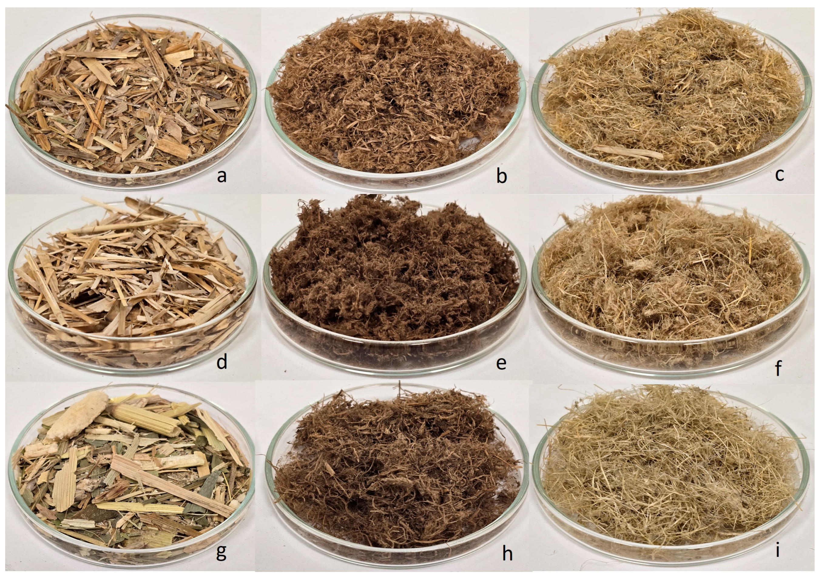 Fibers 13 00024 g001