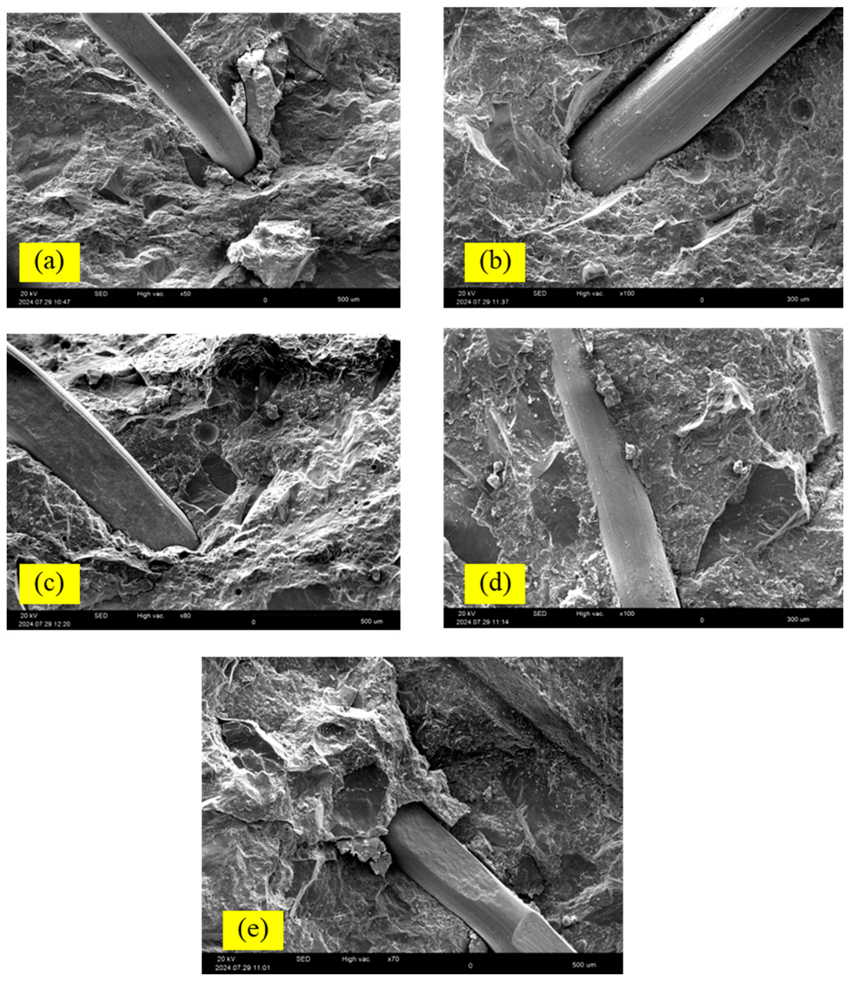 Fibers 13 00037 g013