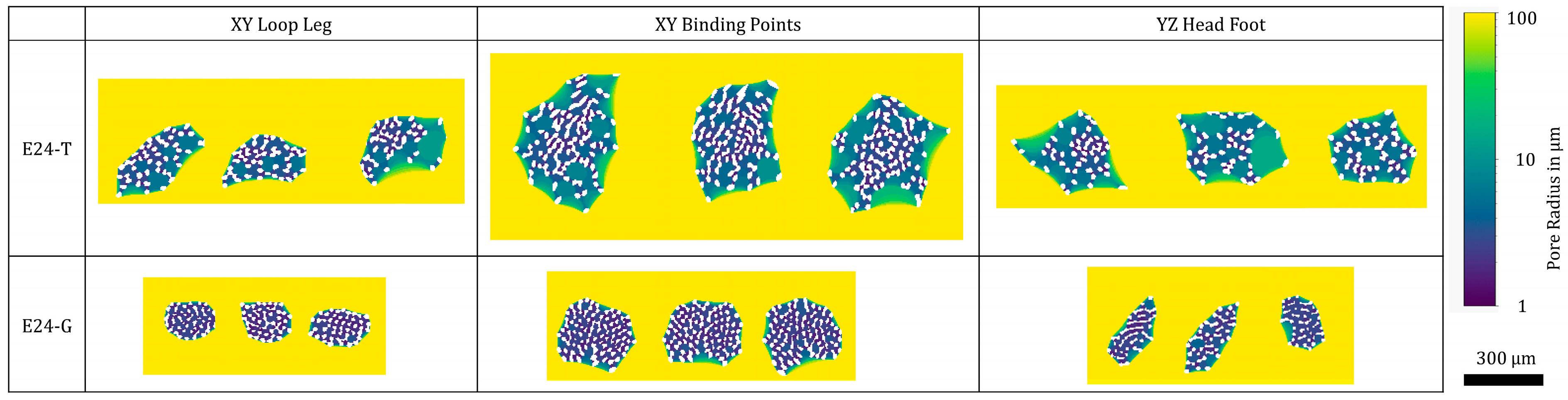 Fibers 13 00048 g008