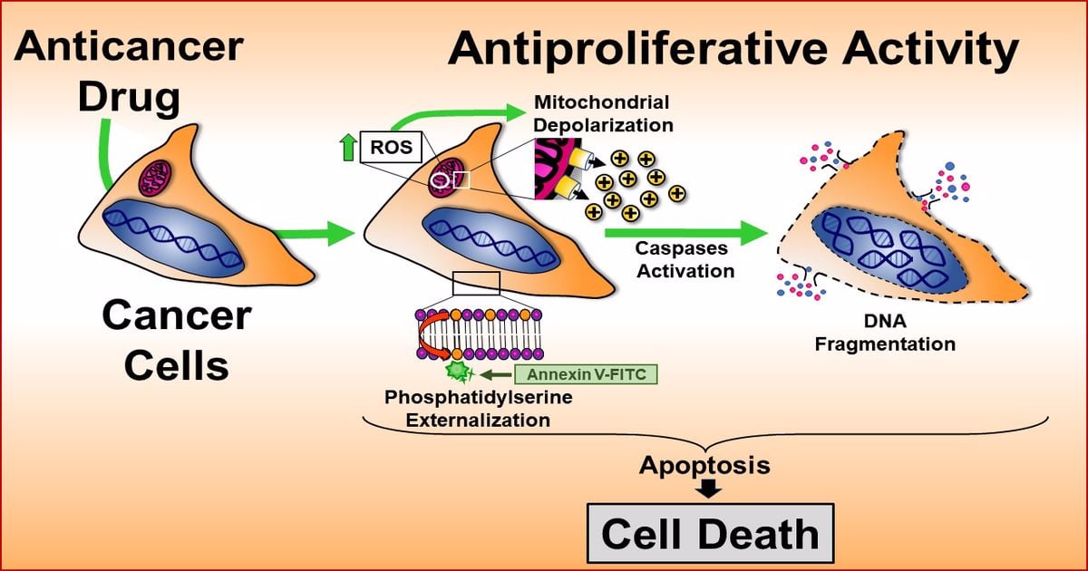 Advances in Anti-cancer Drugs