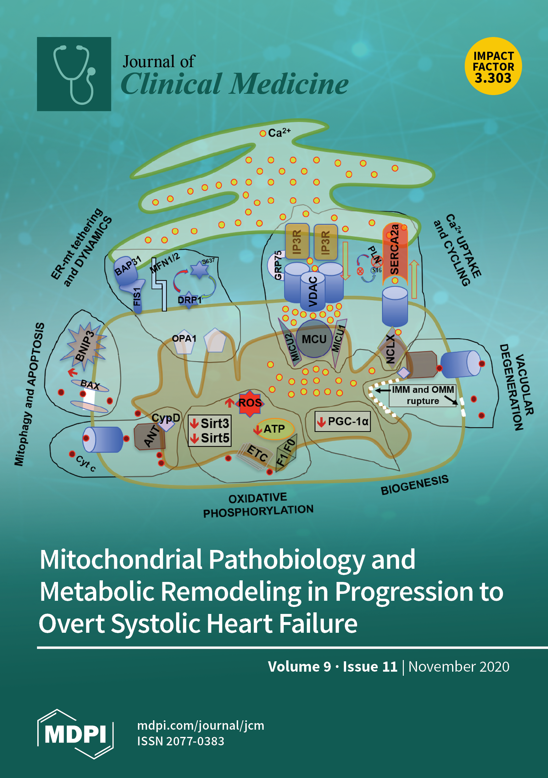 Postural Orthostatic Tachycardia Syndrome, Patrick Marshwell - eBook -  Bertrand