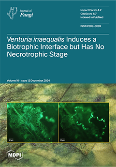 Issue Cover