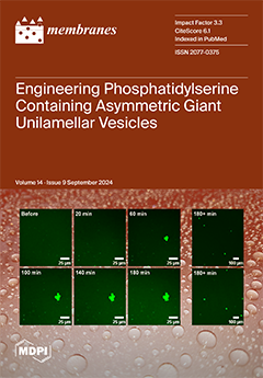 Issue Cover