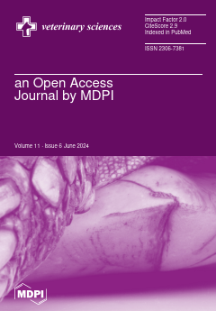 Issue Cover