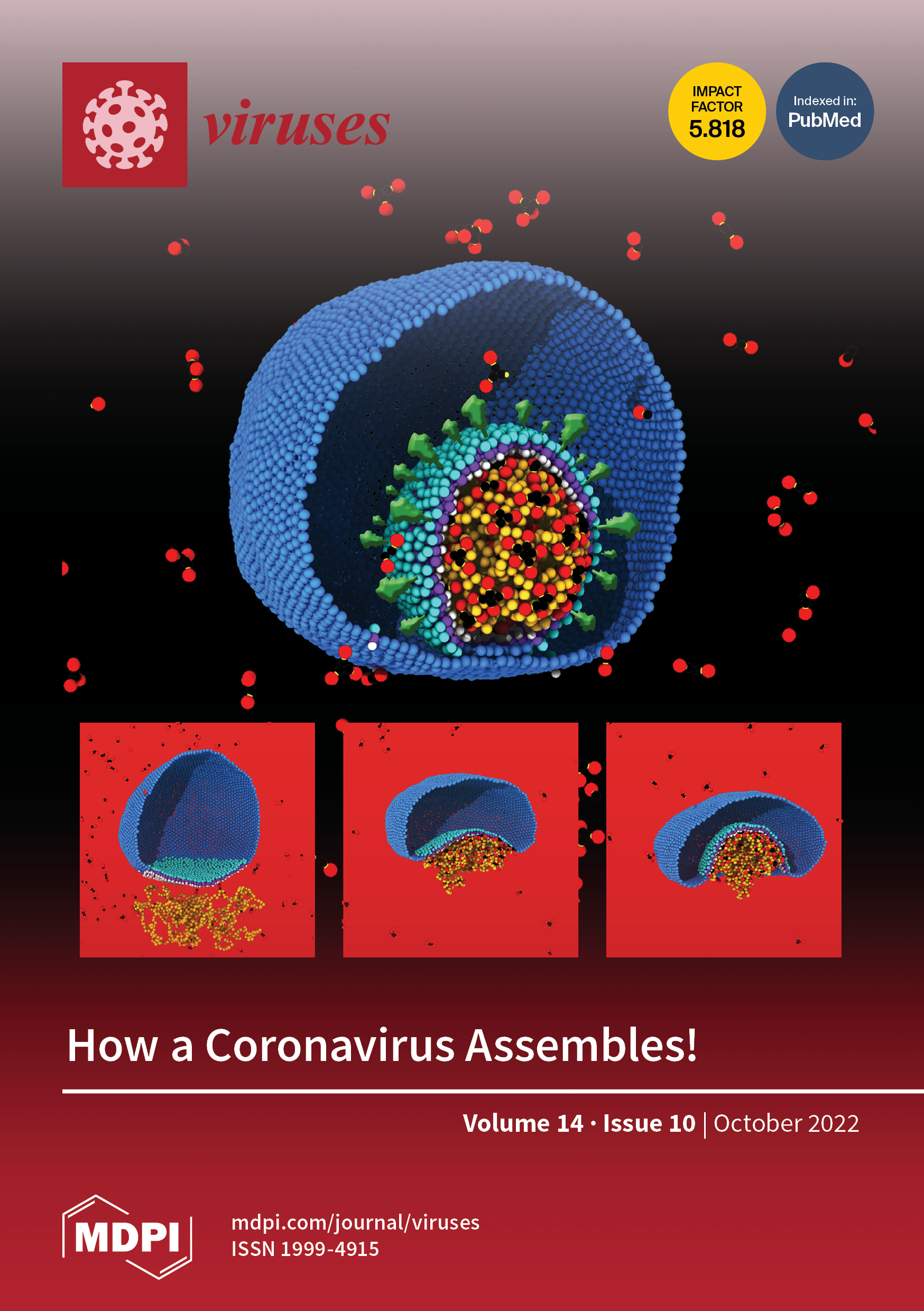 Coronavirus: Putting the boot into protective clothing as RM Williams to  shut factory