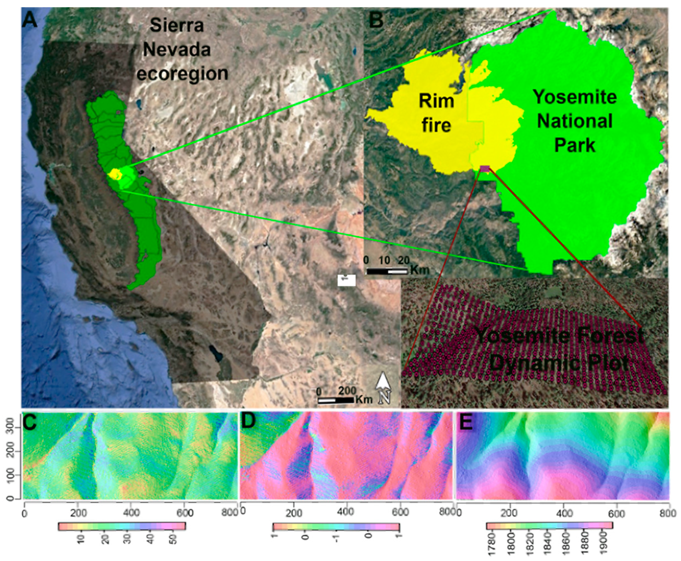 Fire | Free Full-Text | The Post-Fire Assembly Processes of Tree  Communities Based on Spatial Analysis of a Sierra Nevada Mixed-Conifer  Forest