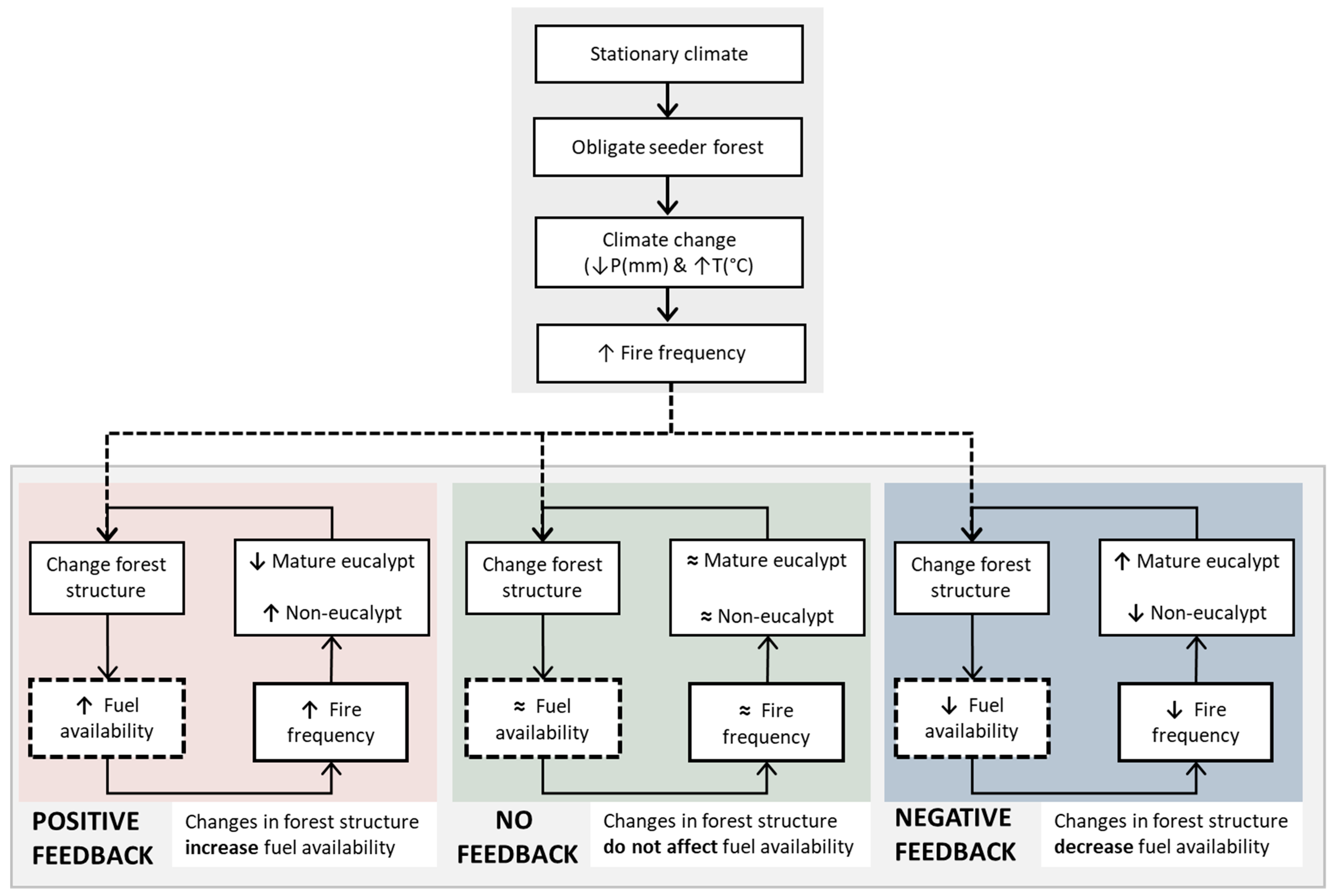 Fire Free Full Text Forest Structure Drives Fuel Moisture Response Across Alternative Forest States Html