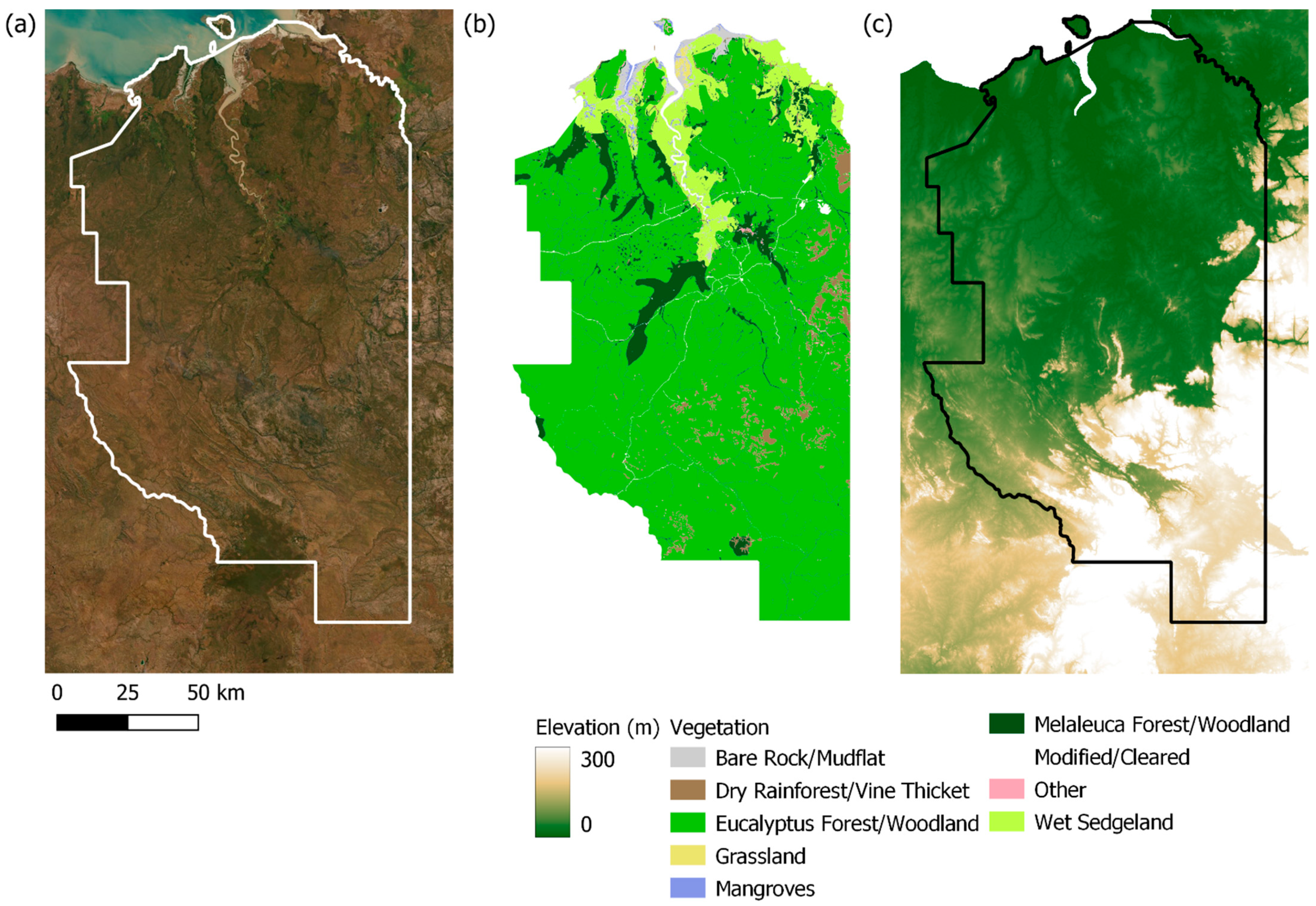 Fire | Free Full-Text | Double-Differenced dNBR: Combining MODIS and  Landsat Imagery to Map Fine-Grained Fire MOSAICS in Lowland Eucalyptus  Savanna in Kakadu National Park, Northern Australia