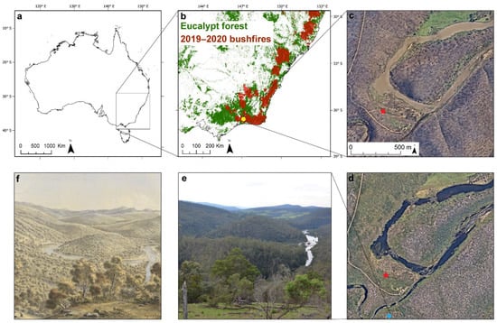 Devastating': Australian scientists race to save endangered wild