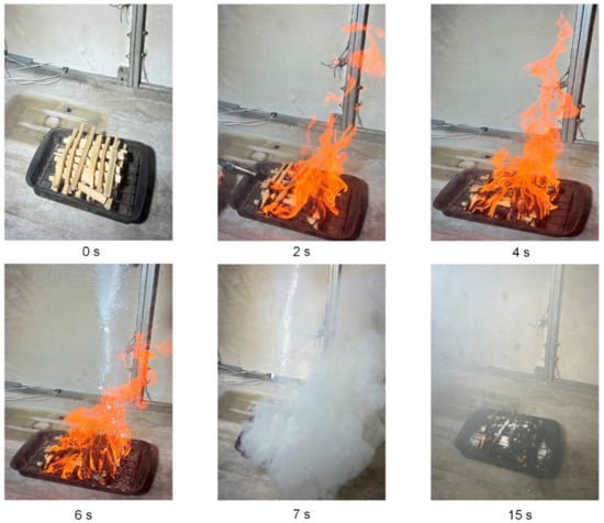 Extinction of Wood Fire: A Near-Limit Blue Flame Above Hot Smoldering  Surface