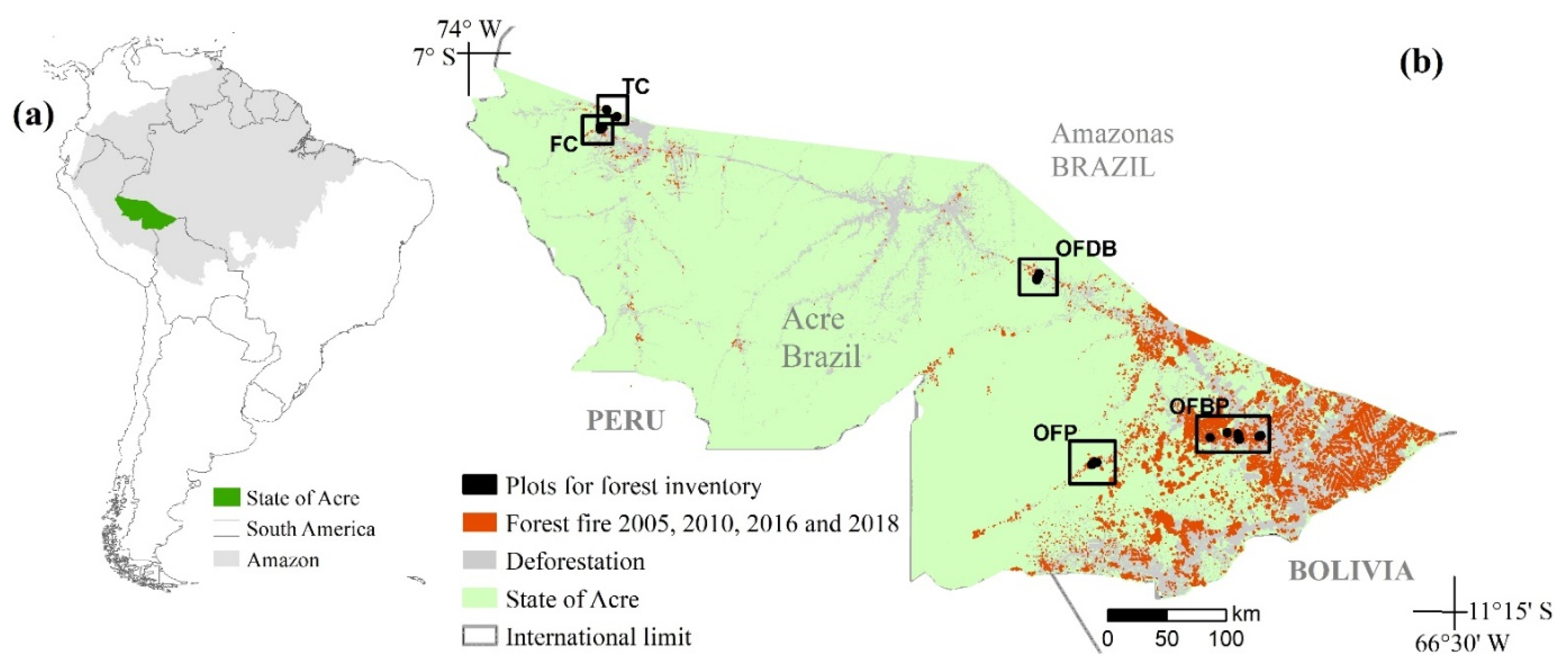 Fire | Free Full-Text | Forest Degradation in the Southwest Brazilian Amazon:  Impact on Tree Species of Economic Interest and Traditional Use