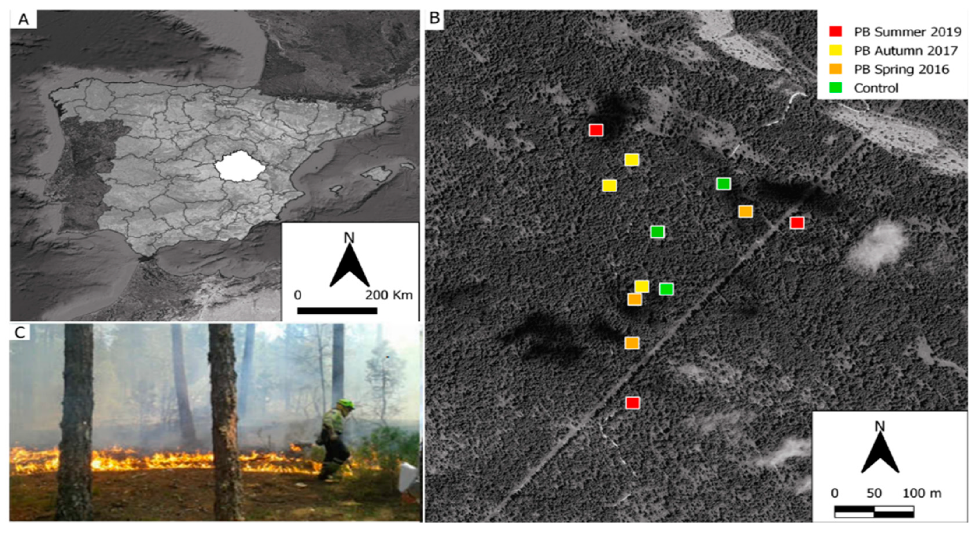 Fire 06 00283 g001 Fire 06 00283 g001