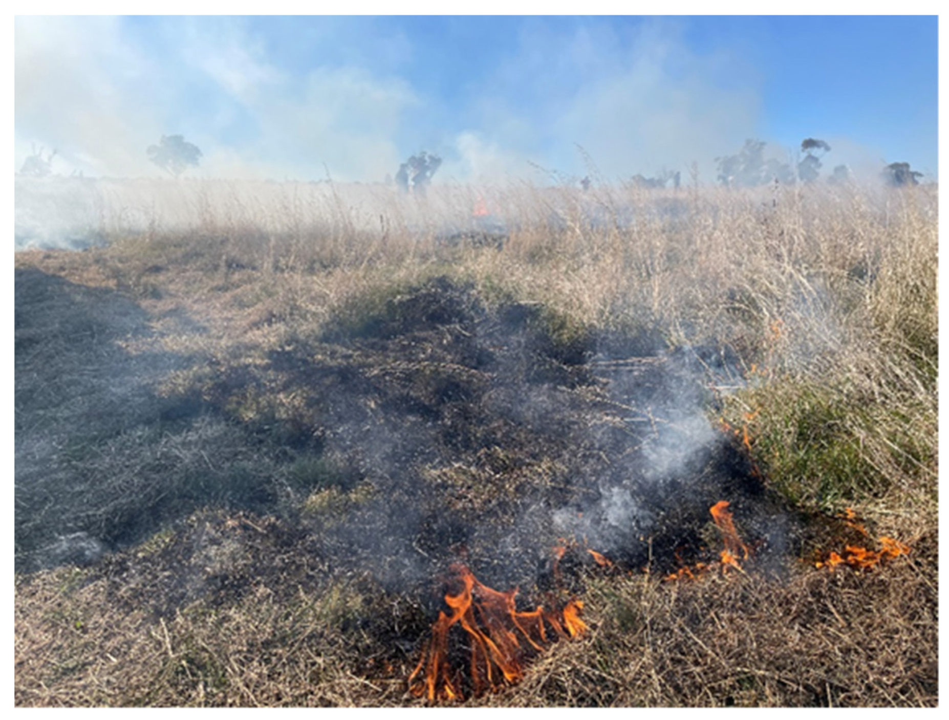 Fire 06 00296 g005 Fire 06 00296 g005