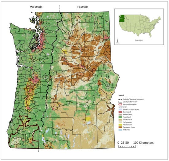 Top 6 Games to Play Virtually - Pacific Northwest