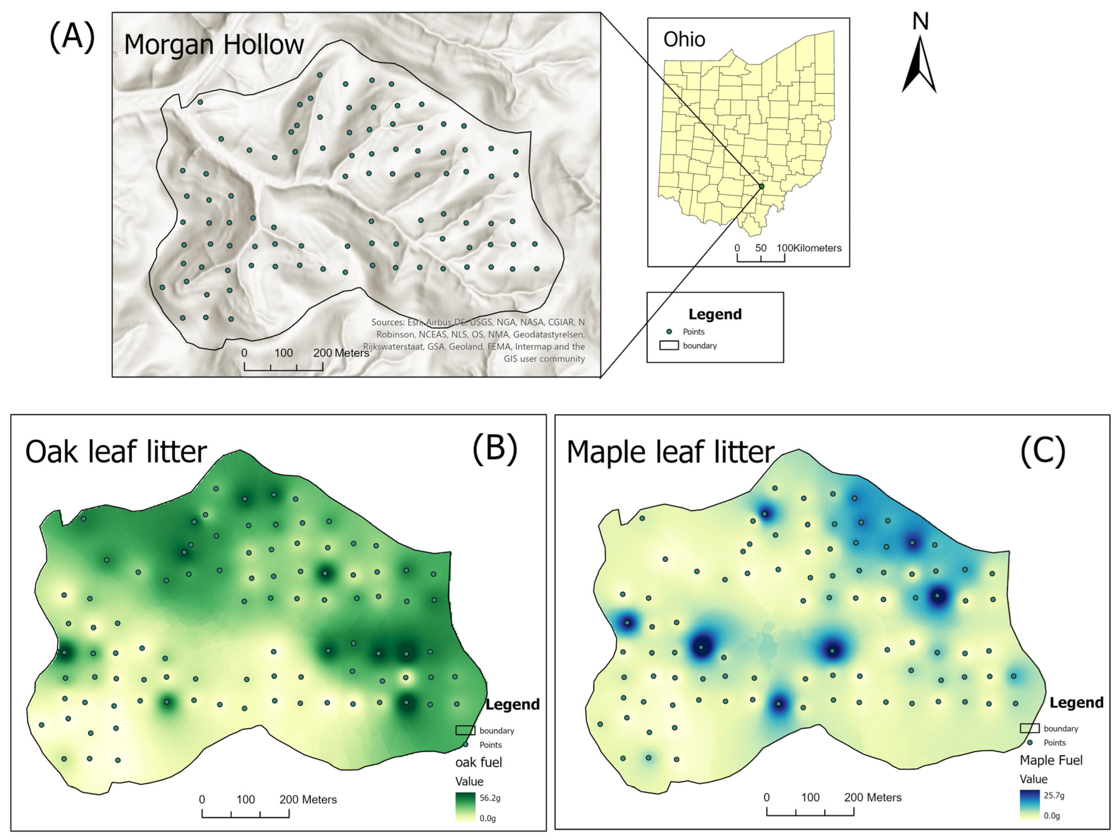 Fire | Free Full-Text | Effects of Wildland Fuel Composition on Fire  Intensity