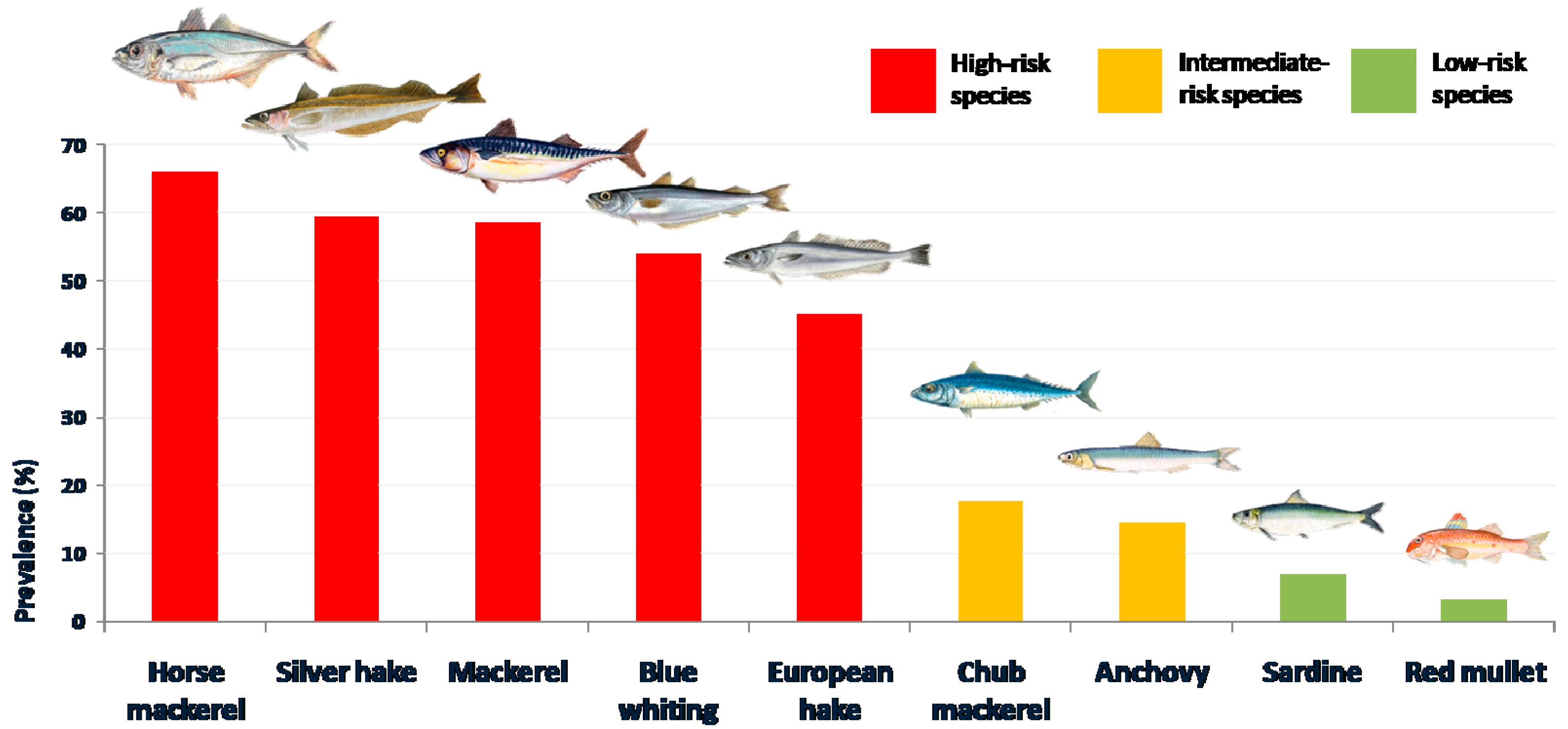 Fishes | Free Full-Text | Prevalence and Risk of Anisakid Larvae in ...