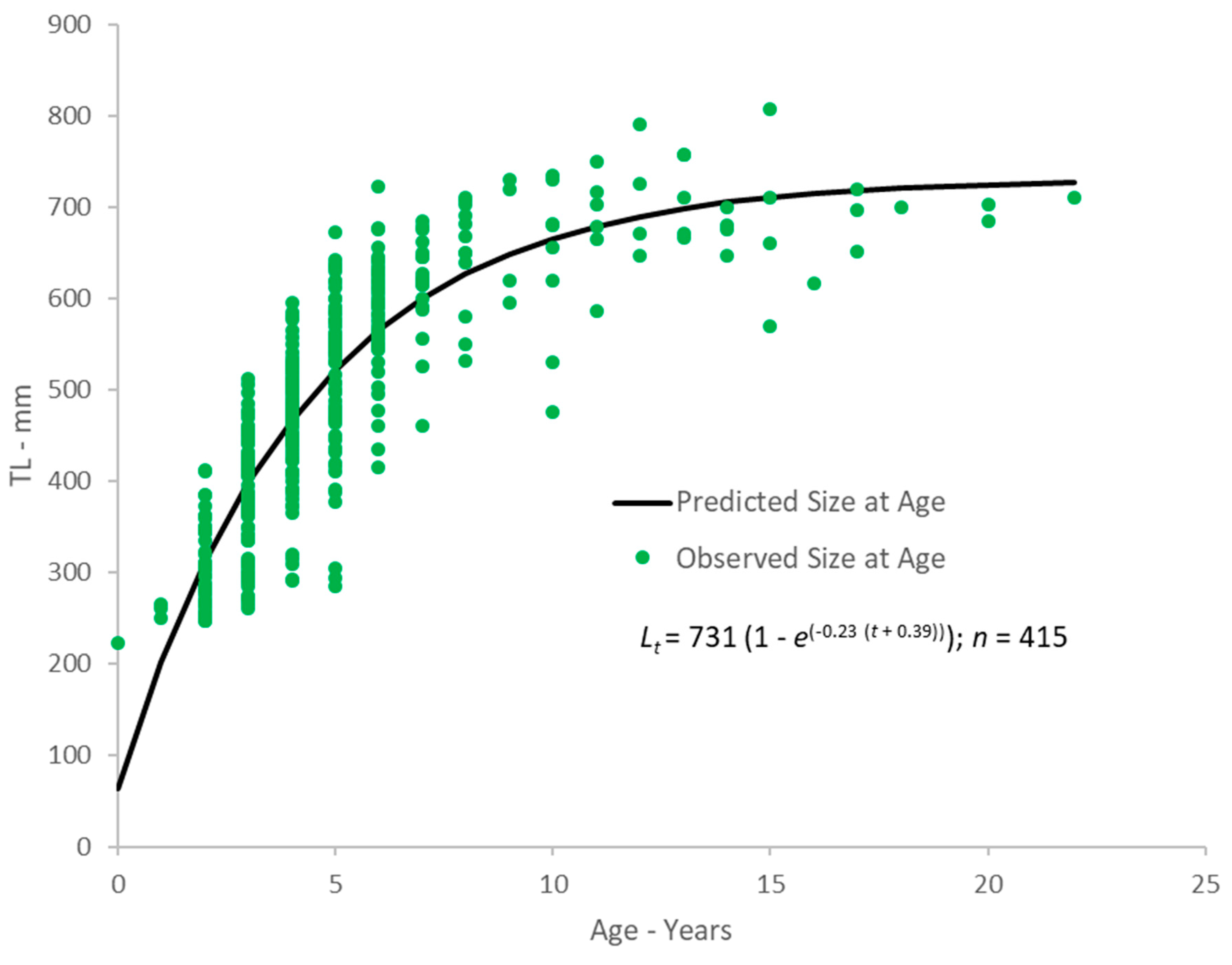 Fishes Free Full Text Preliminary Estimates Of Age Growth And Natural Mortality Of Margate Haemulon Album And Black Margate Anisotremus Surinamensis From The Southeastern United States Html