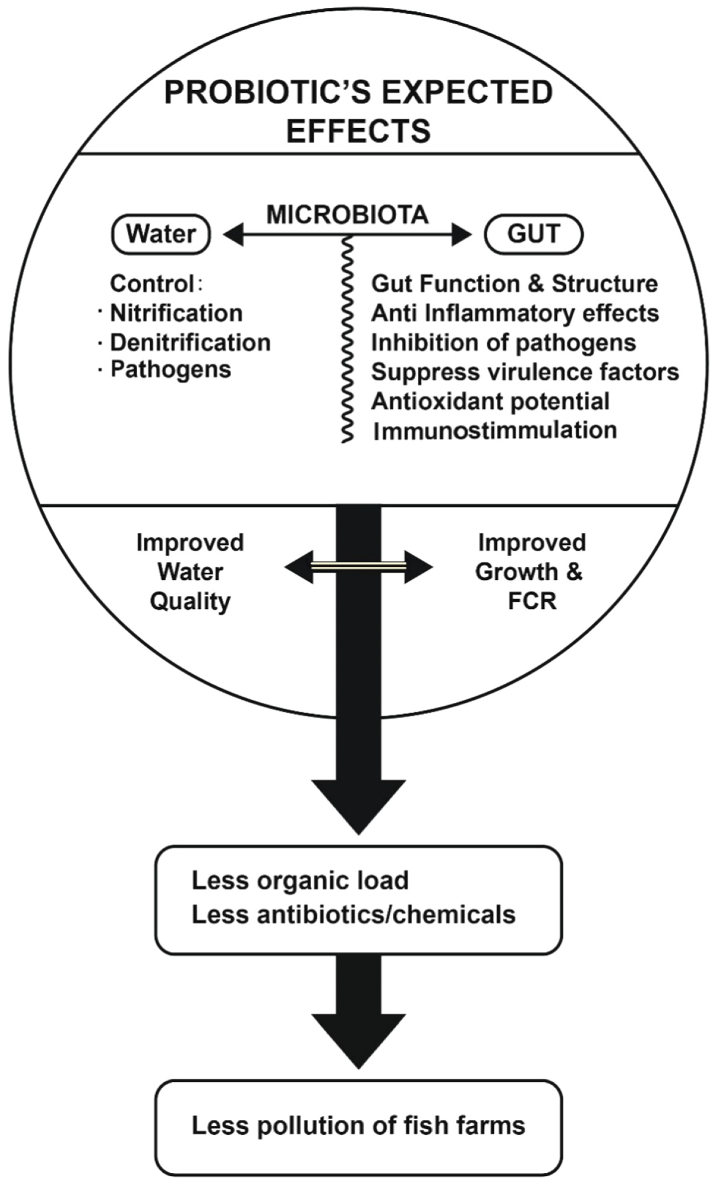 Fishes 06 00076 g002