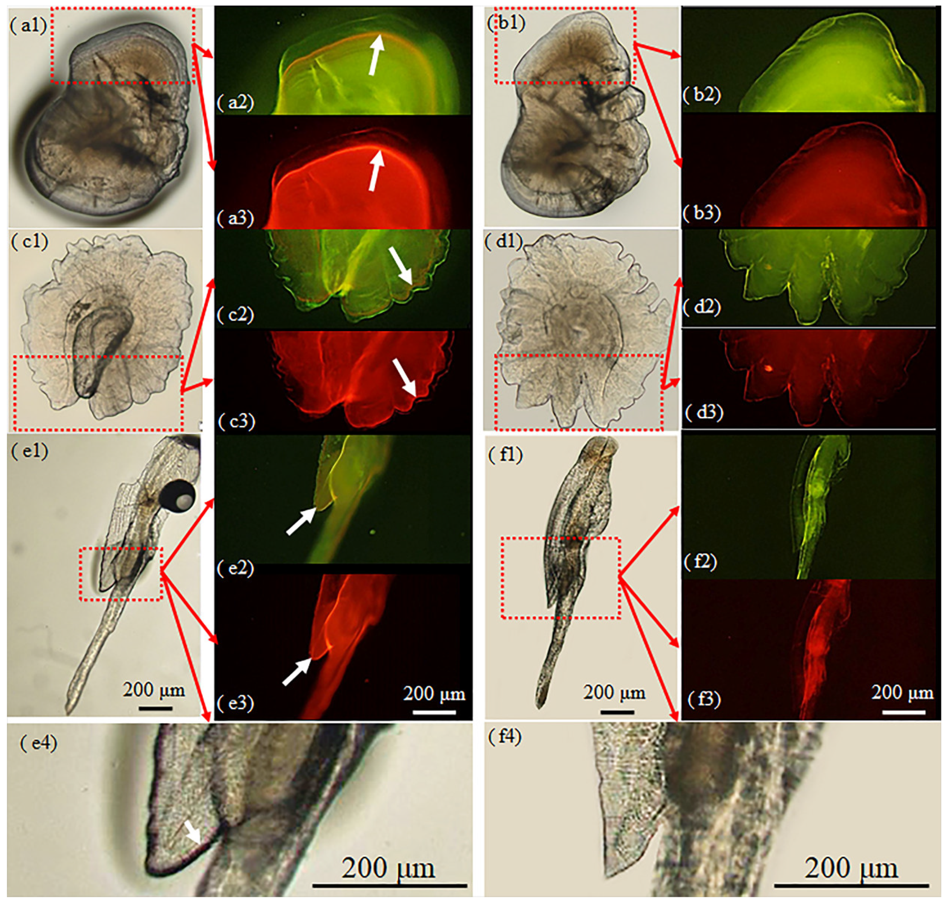 Fishes 07 00066 g002