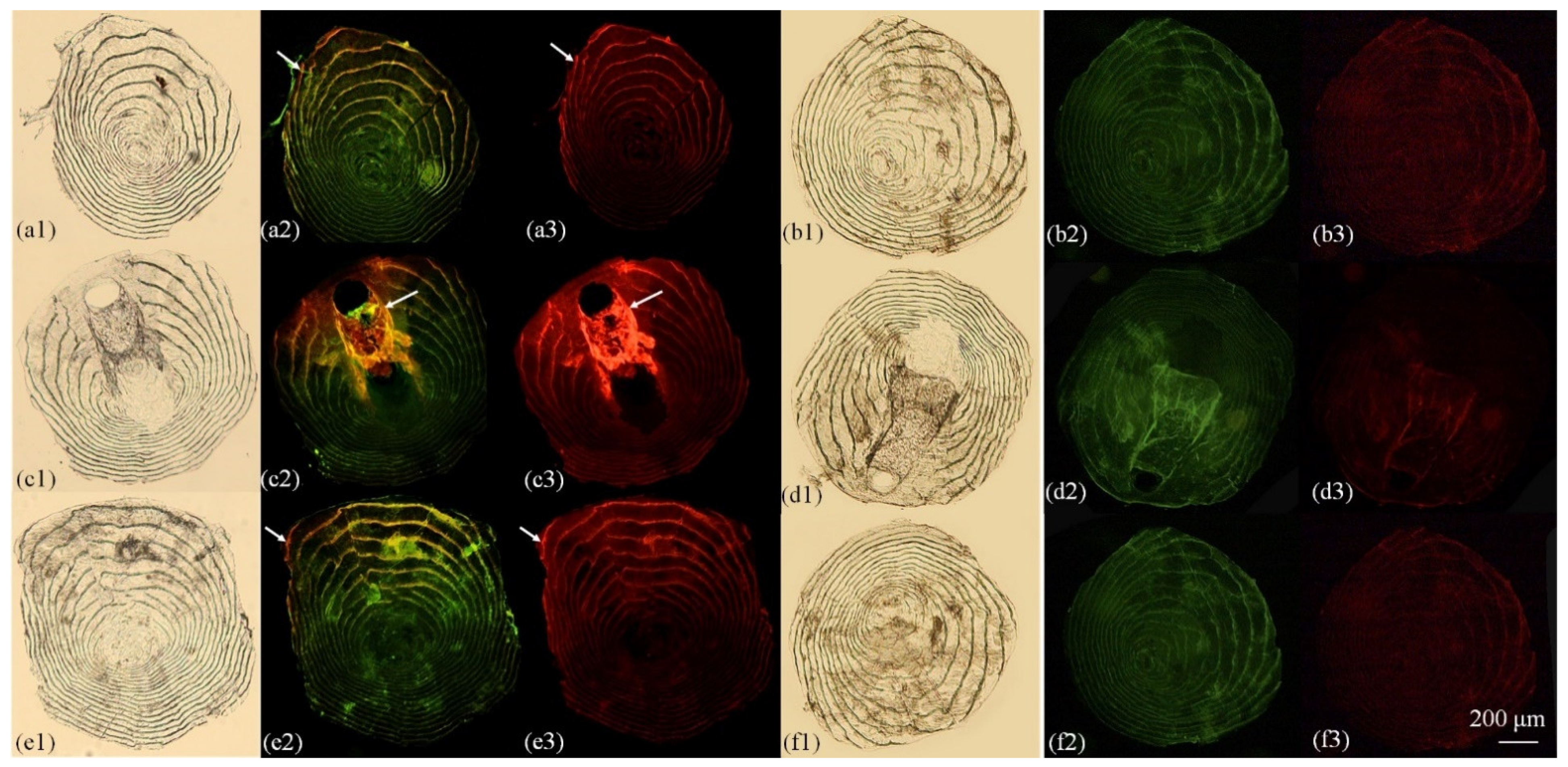 Fishes 07 00066 g004