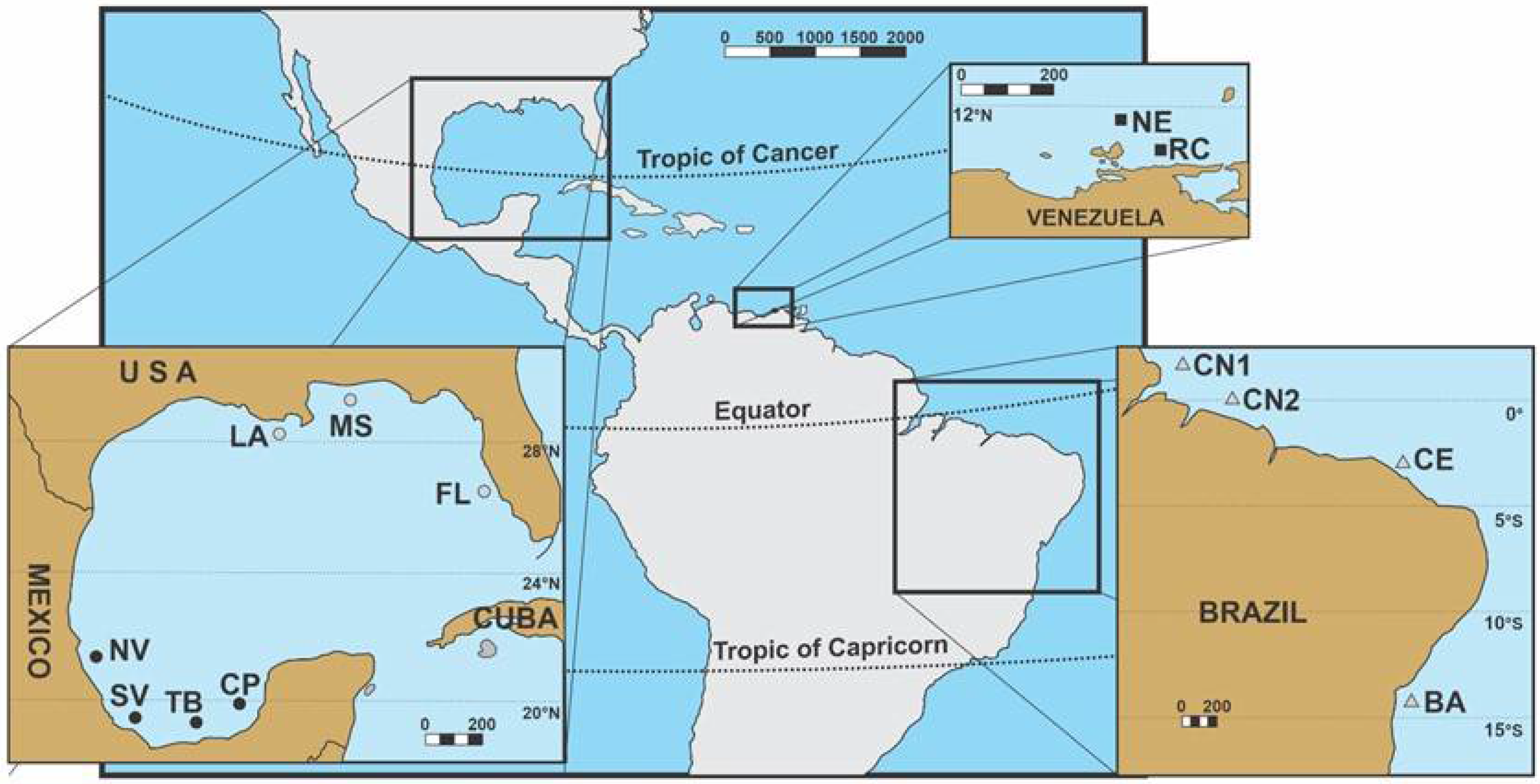 Genetic connectivity and population expansion inferred from multilocus  analysis in Lutjanus alexandrei (Lutjanidae–Perciformes), an endemic  snapper from Northeastern Brazilian coast [PeerJ]