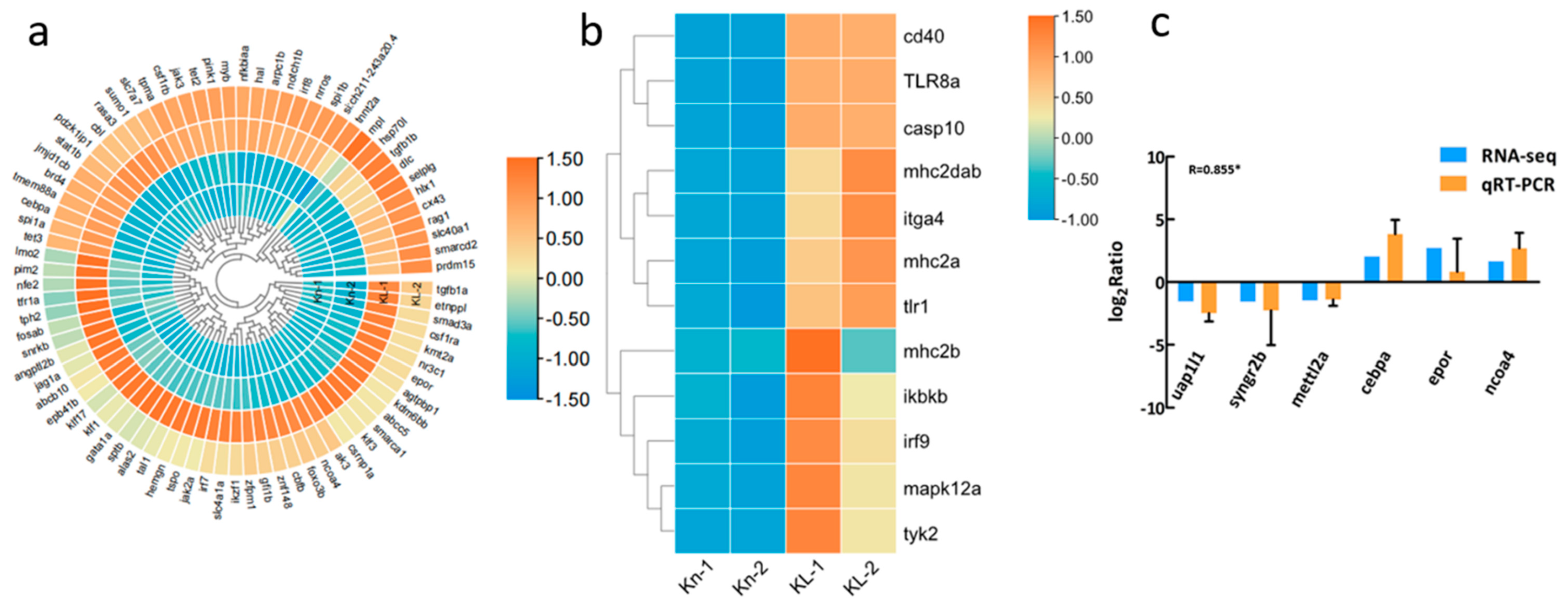 Fishes 07 00098 g004