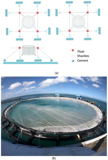 Buy Premium offshore fish cage For Fishing 