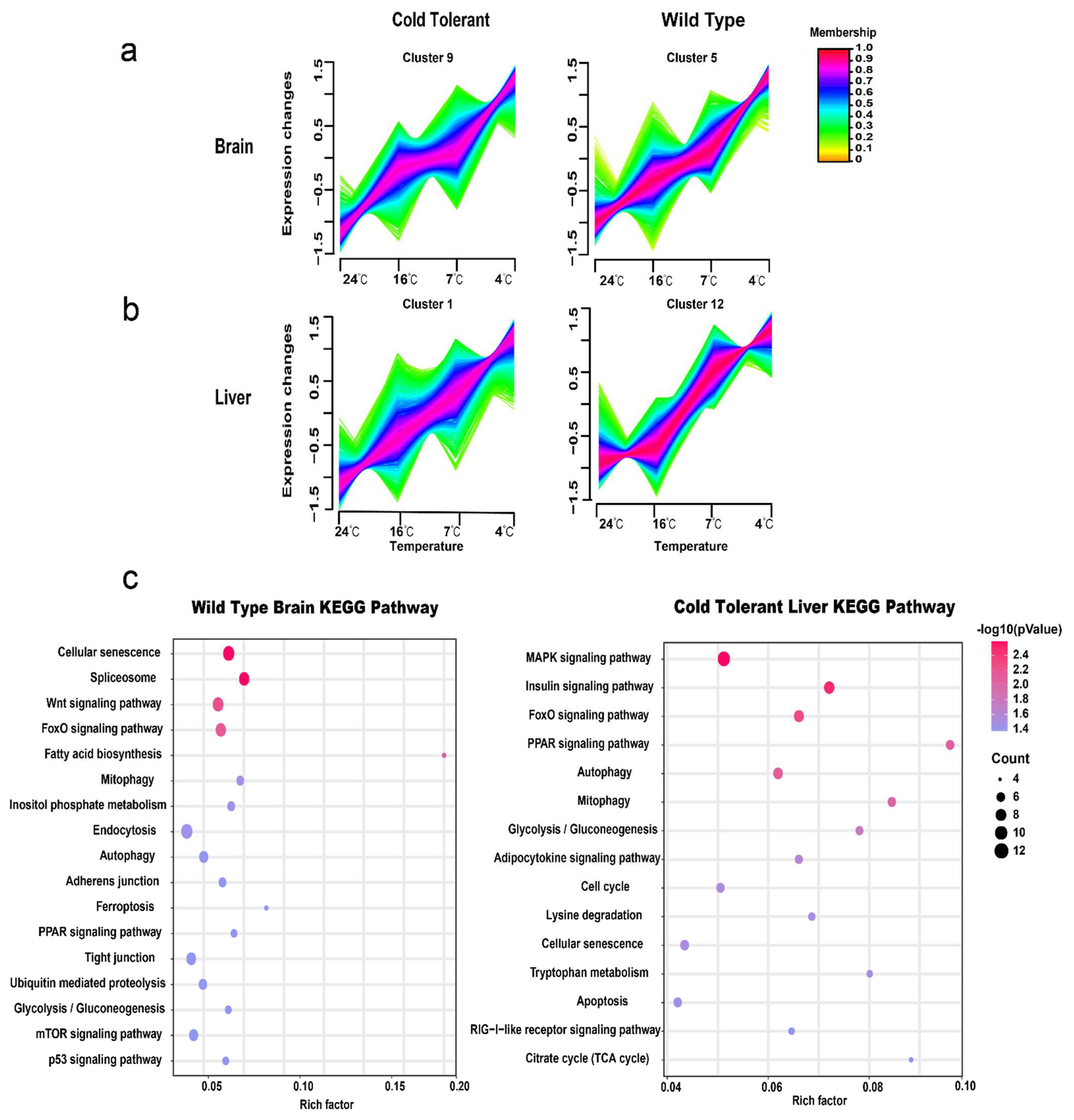 Fishes 07 00159 g002 Fishes 07 00159 g002