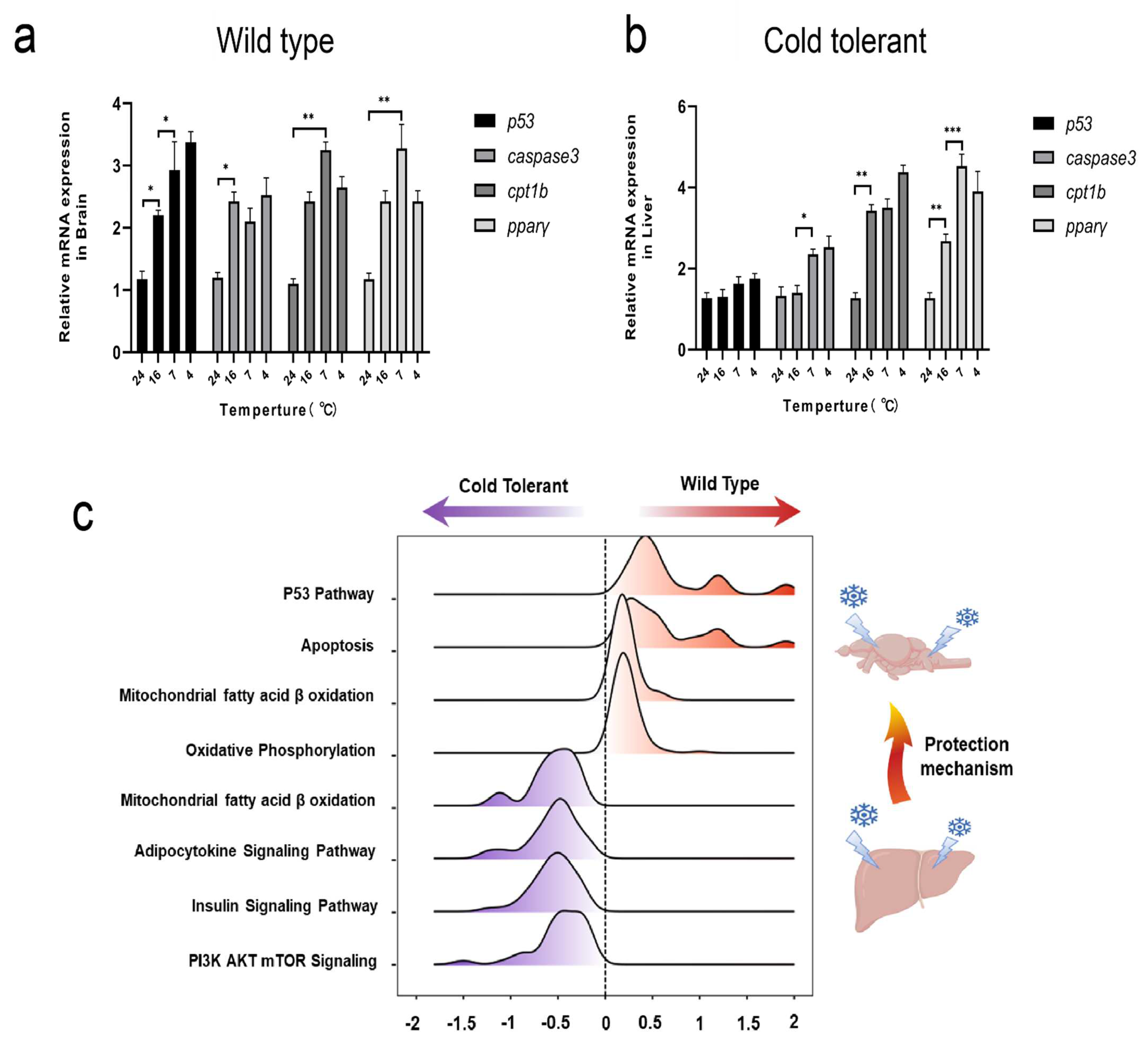 Fishes 07 00159 g004 Fishes 07 00159 g004