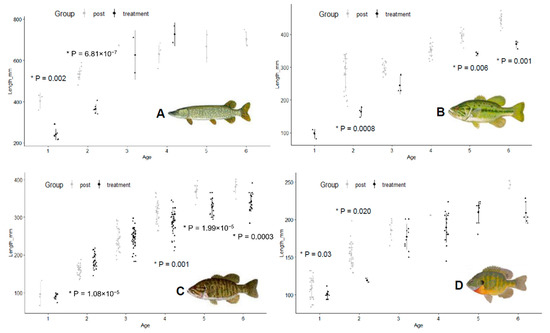 Species Profile # 35: The Fathead Minnow (Pimephales promelas) 