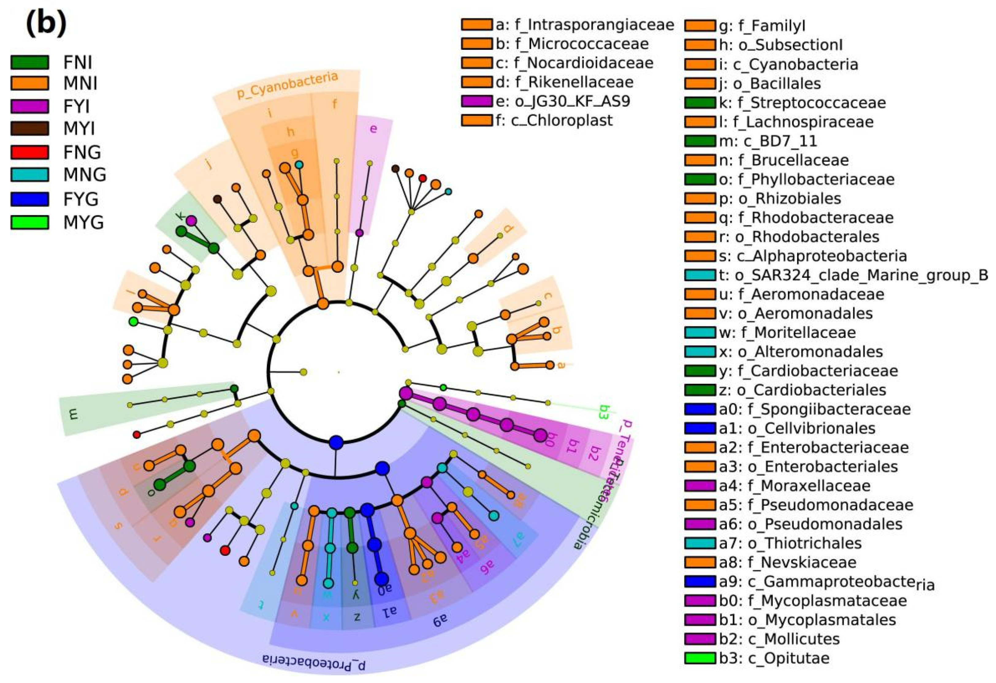 Fishes 07 00191 g006b