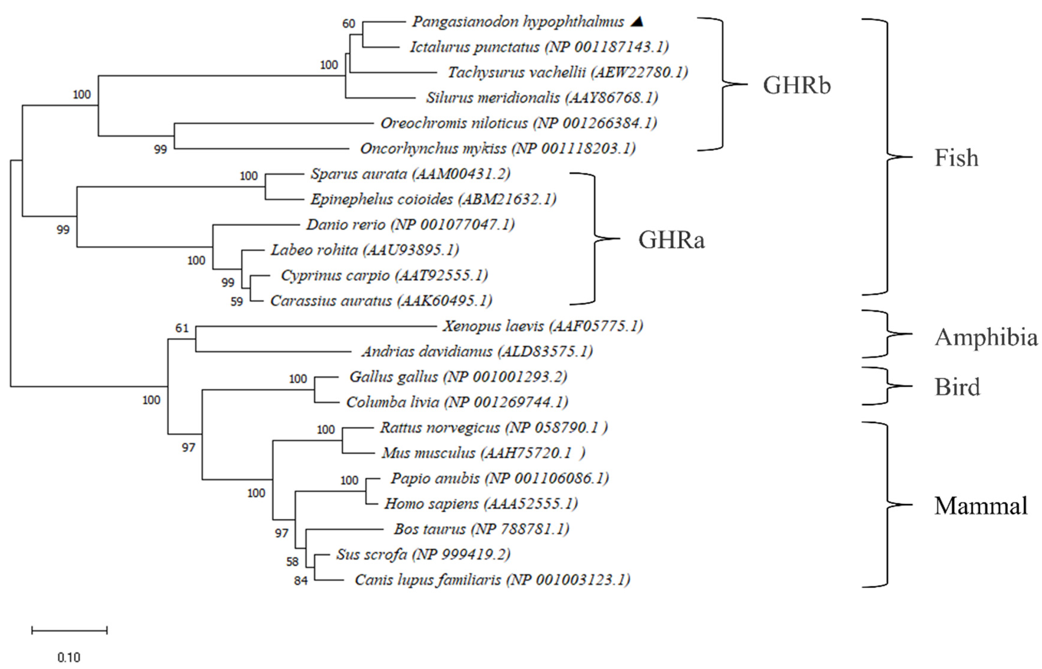 Fishes 07 00230 g002