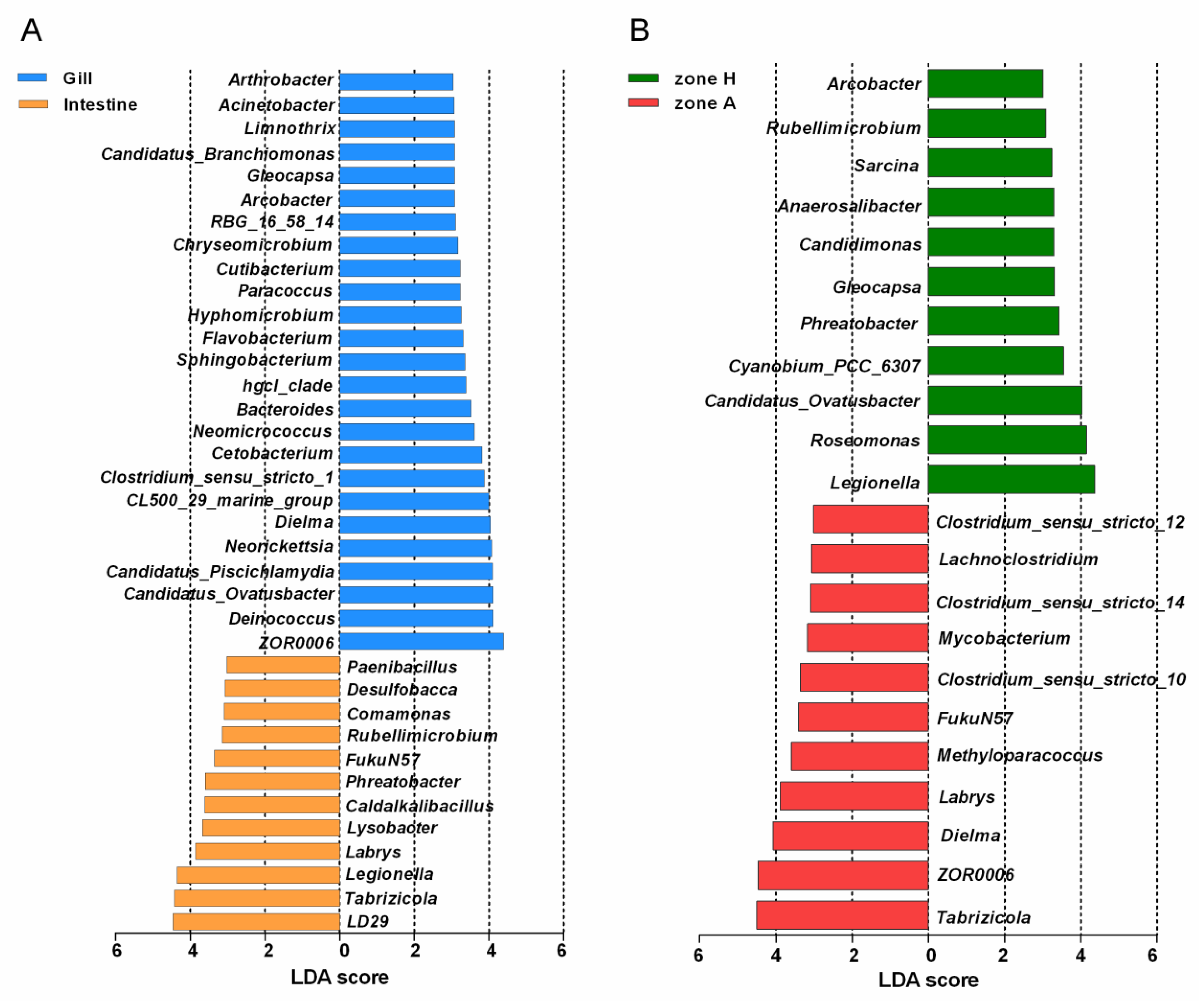 Fishes 07 00304 g006 Fishes 07 00304 g006