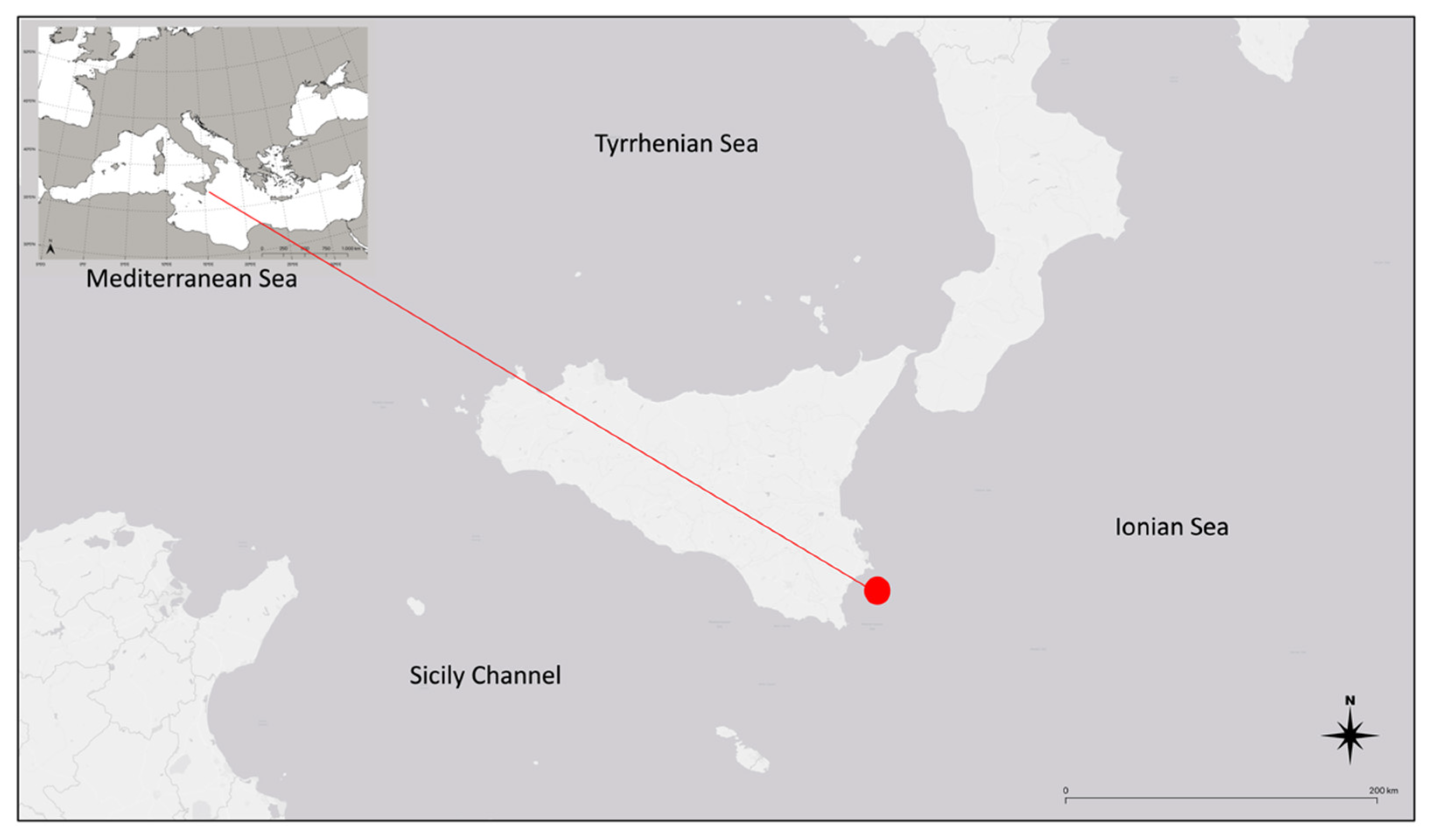 Biometric measurements on ribbon fish. See Table 1 for