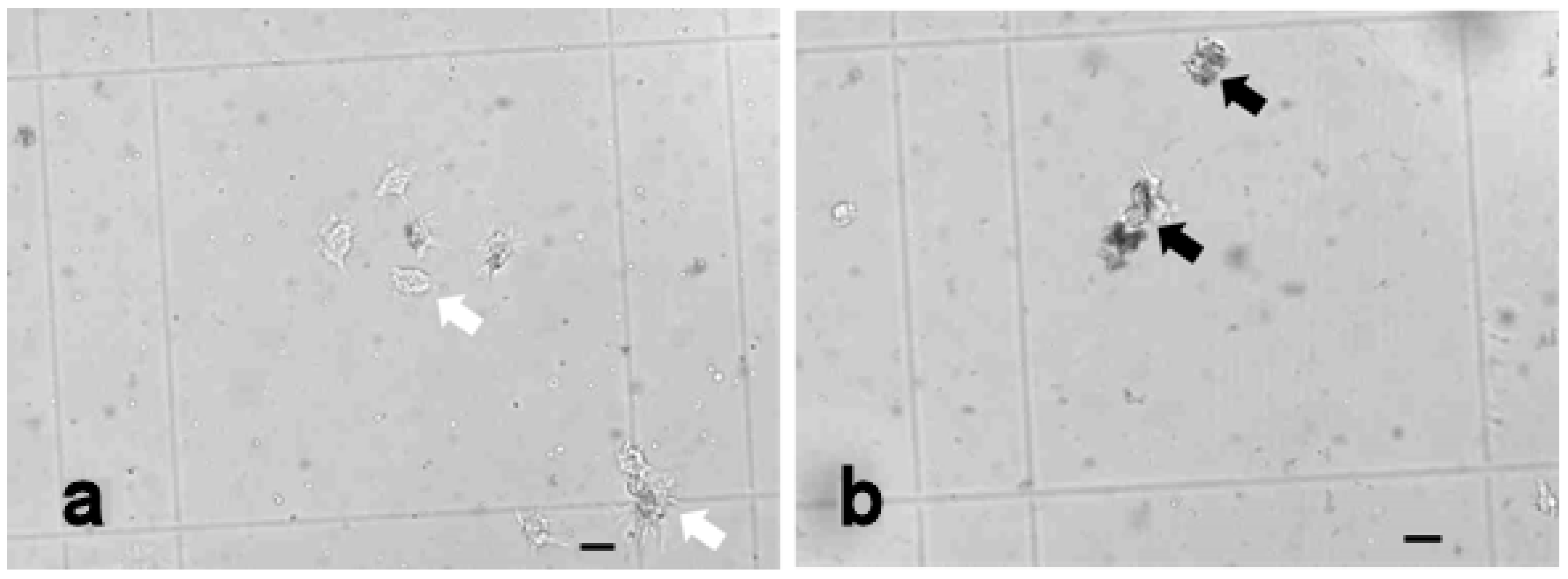 Fishes 07 00307 g005