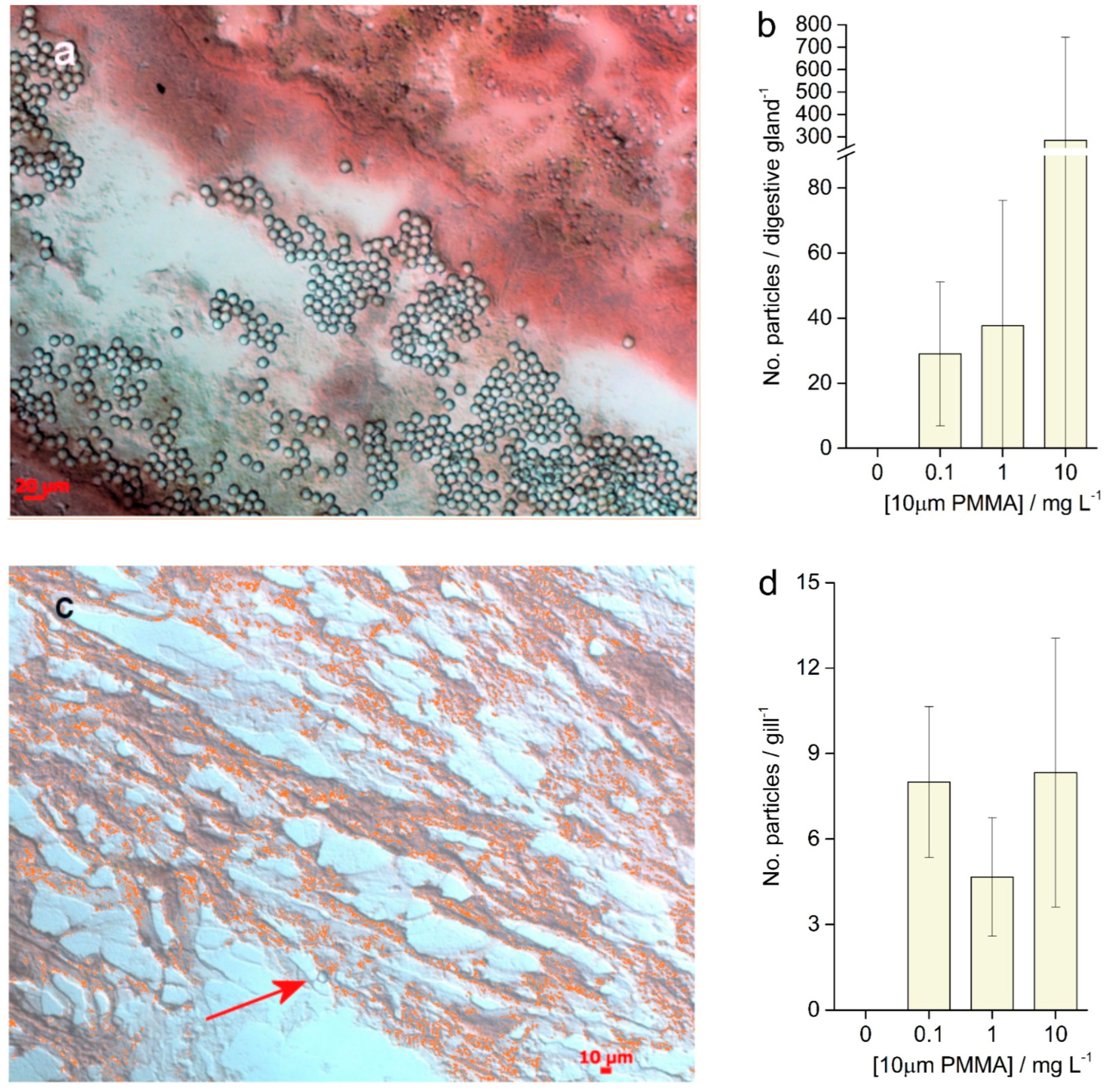 Fishes 07 00307 g008