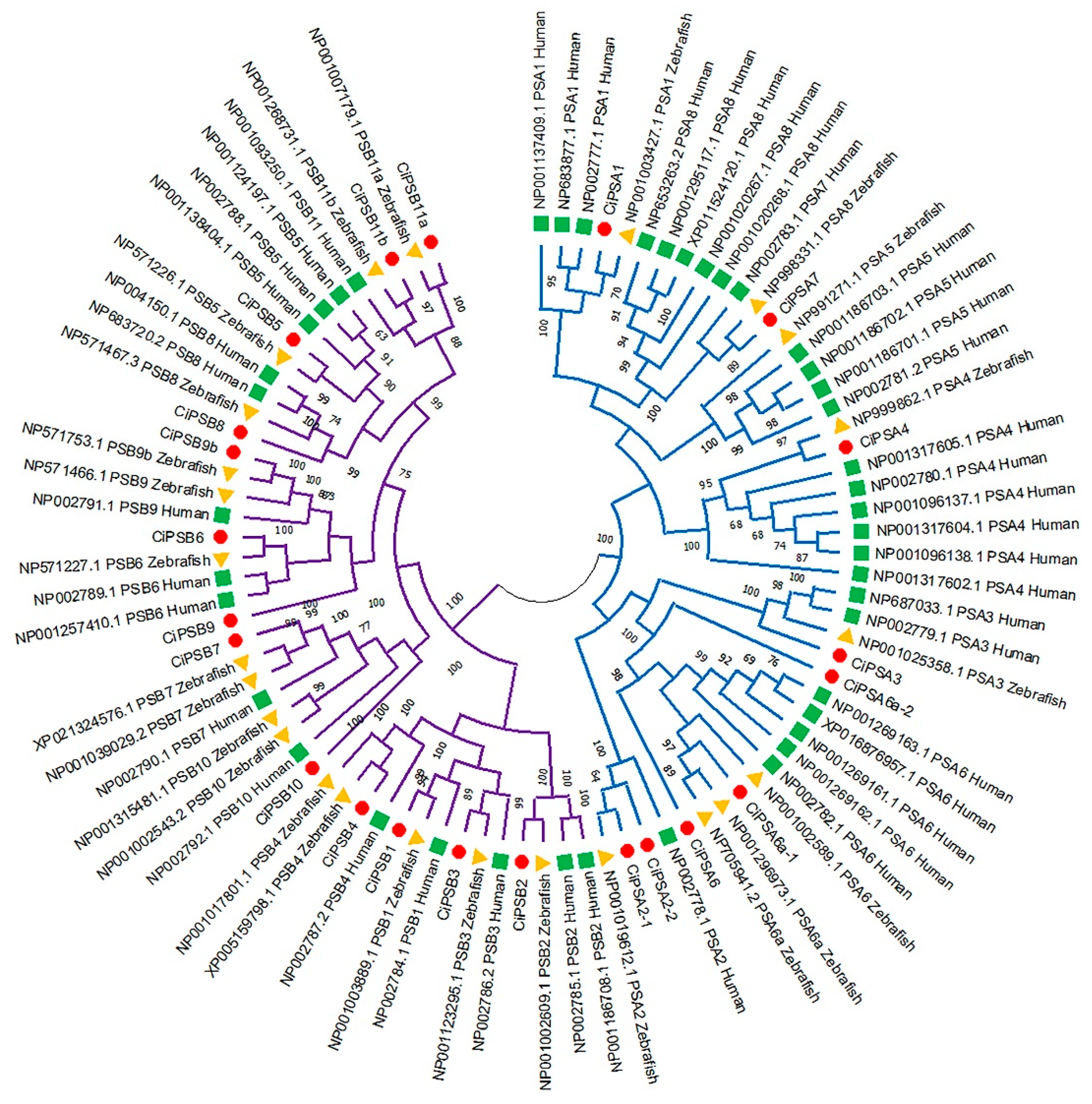 Fishes 07 00350 g001 Fishes 07 00350 g001