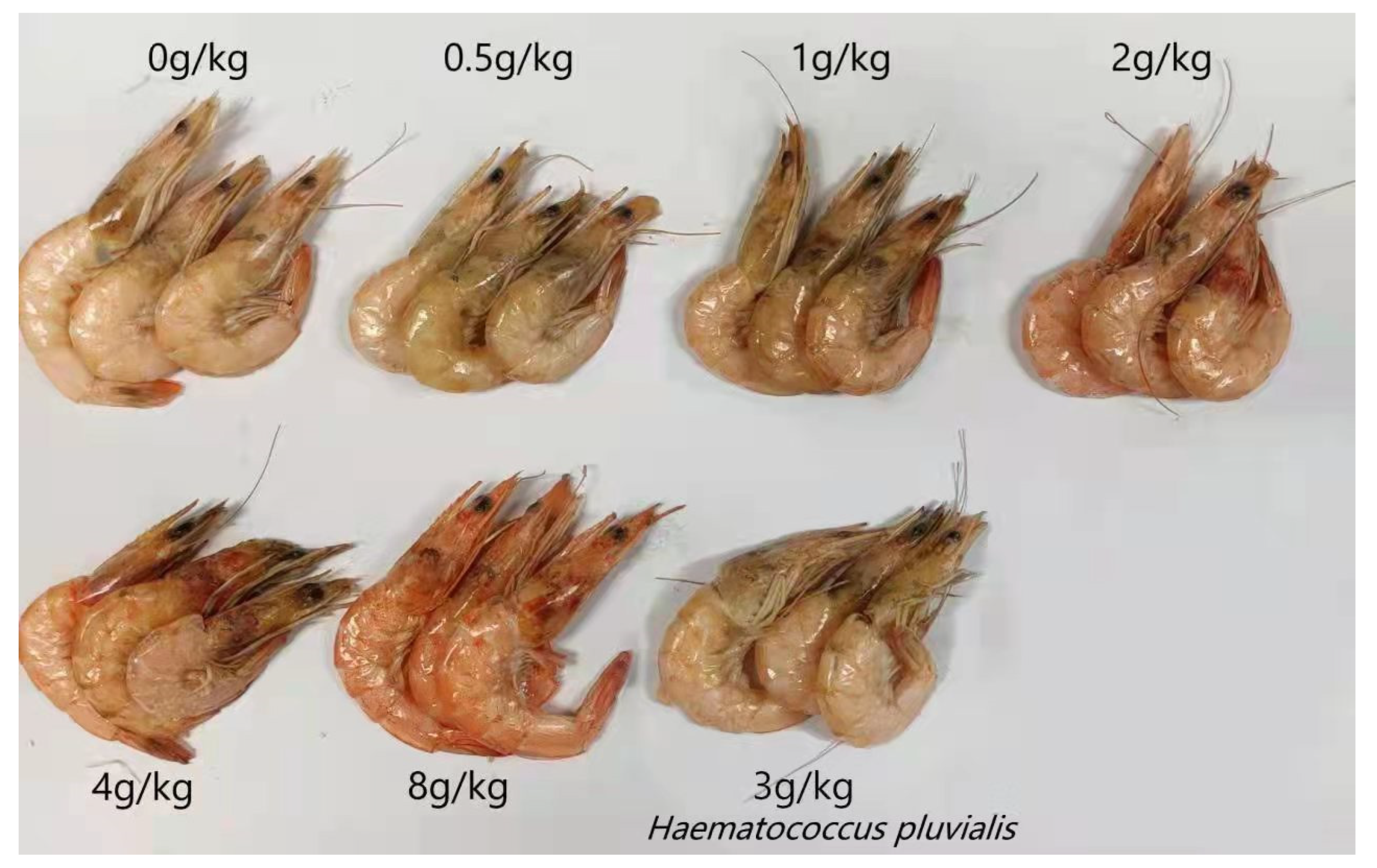 Fishes 07 00352 g004 Fishes 07 00352 g004