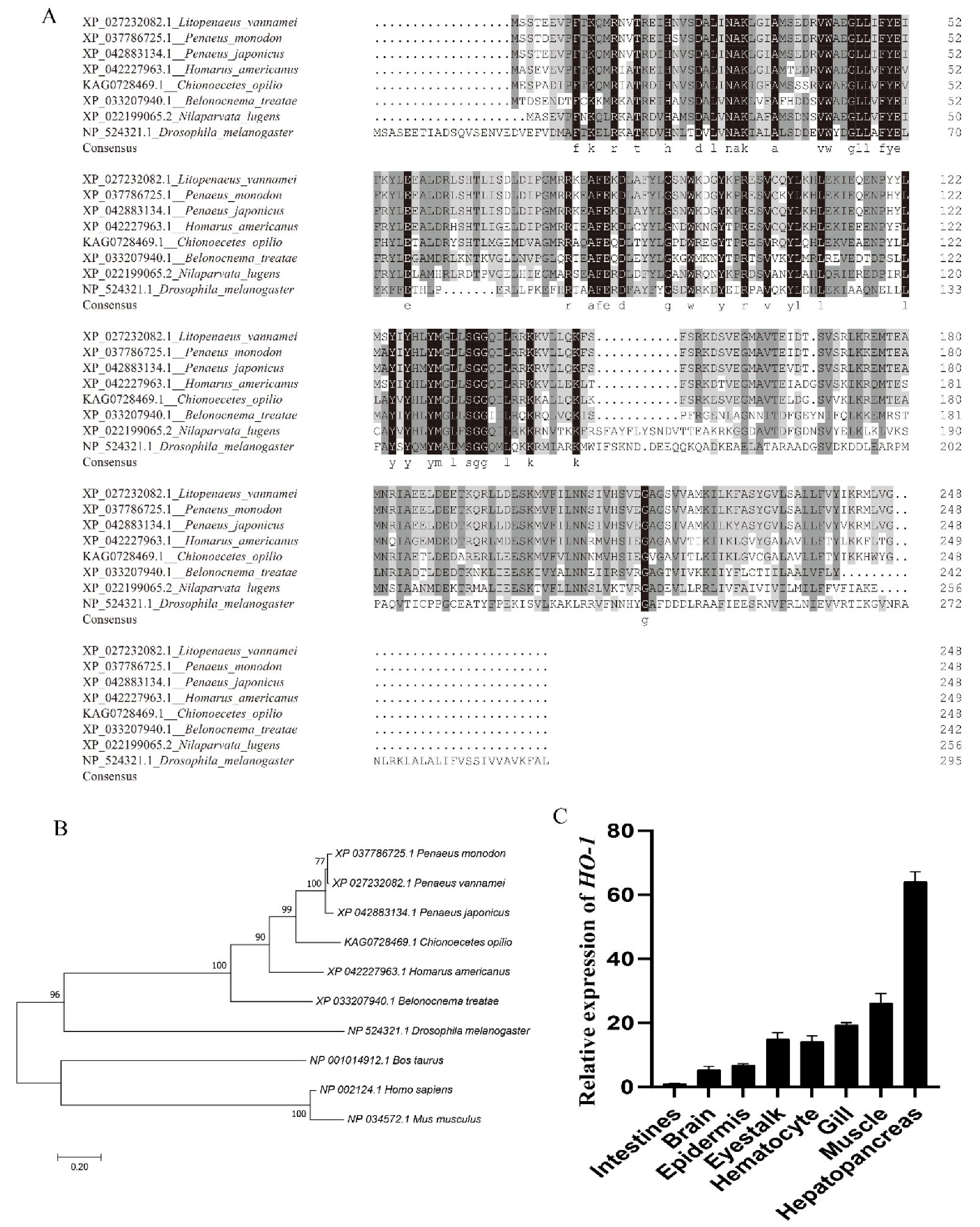 Fishes 07 00356 g002