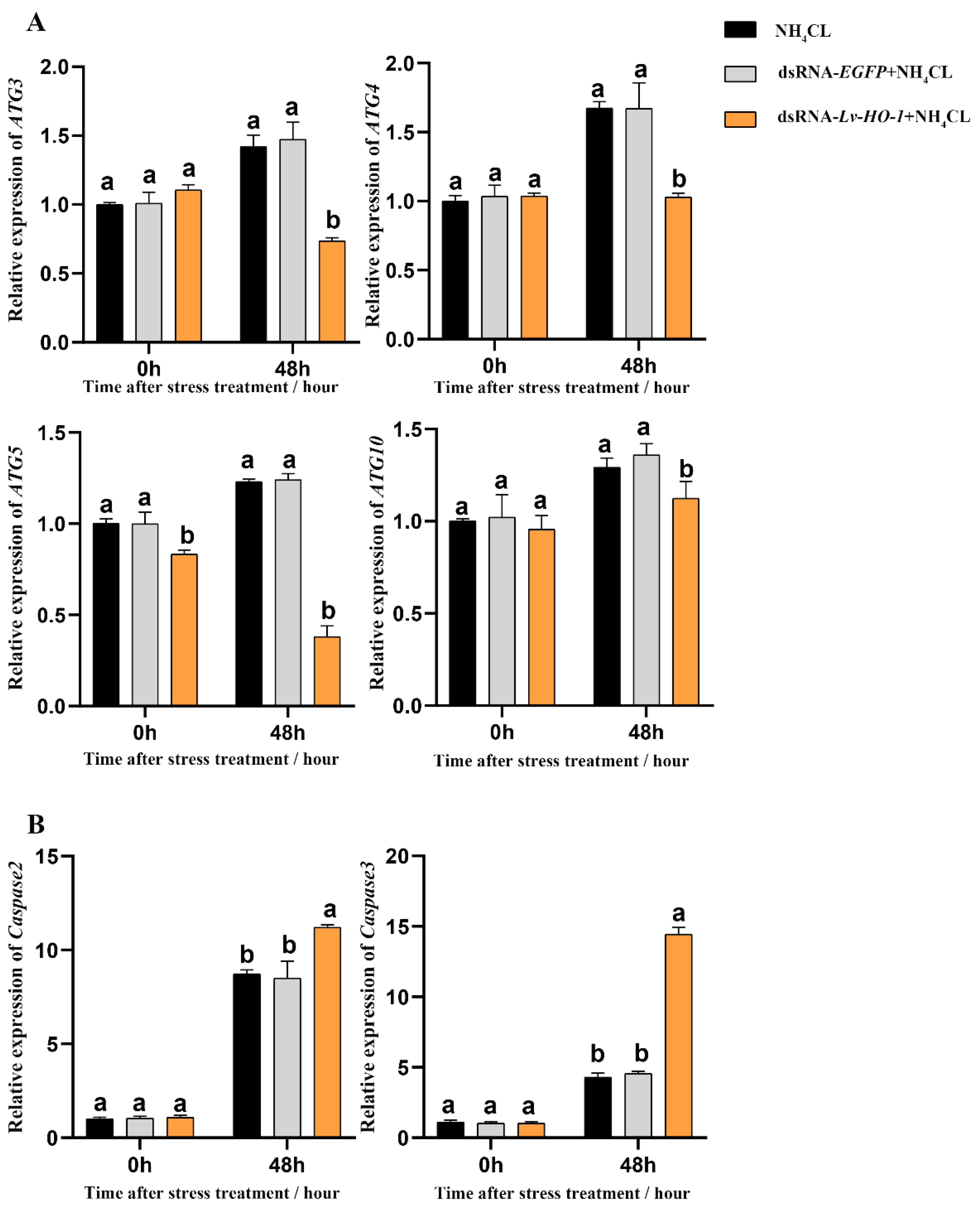 Fishes 07 00356 g006