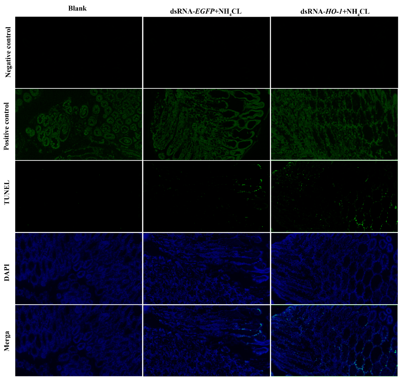 Fishes 07 00356 g007