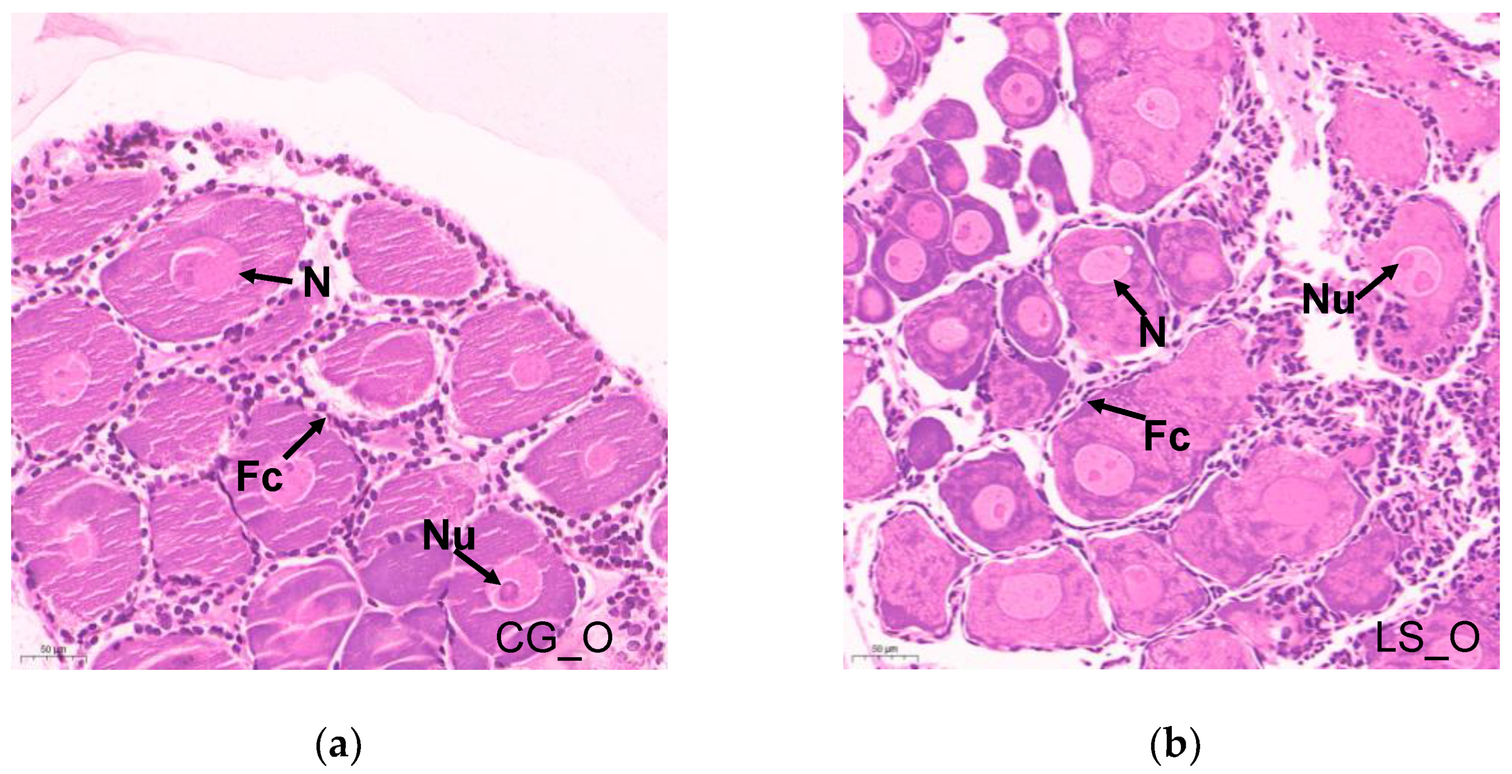 Fishes 07 00365 g002