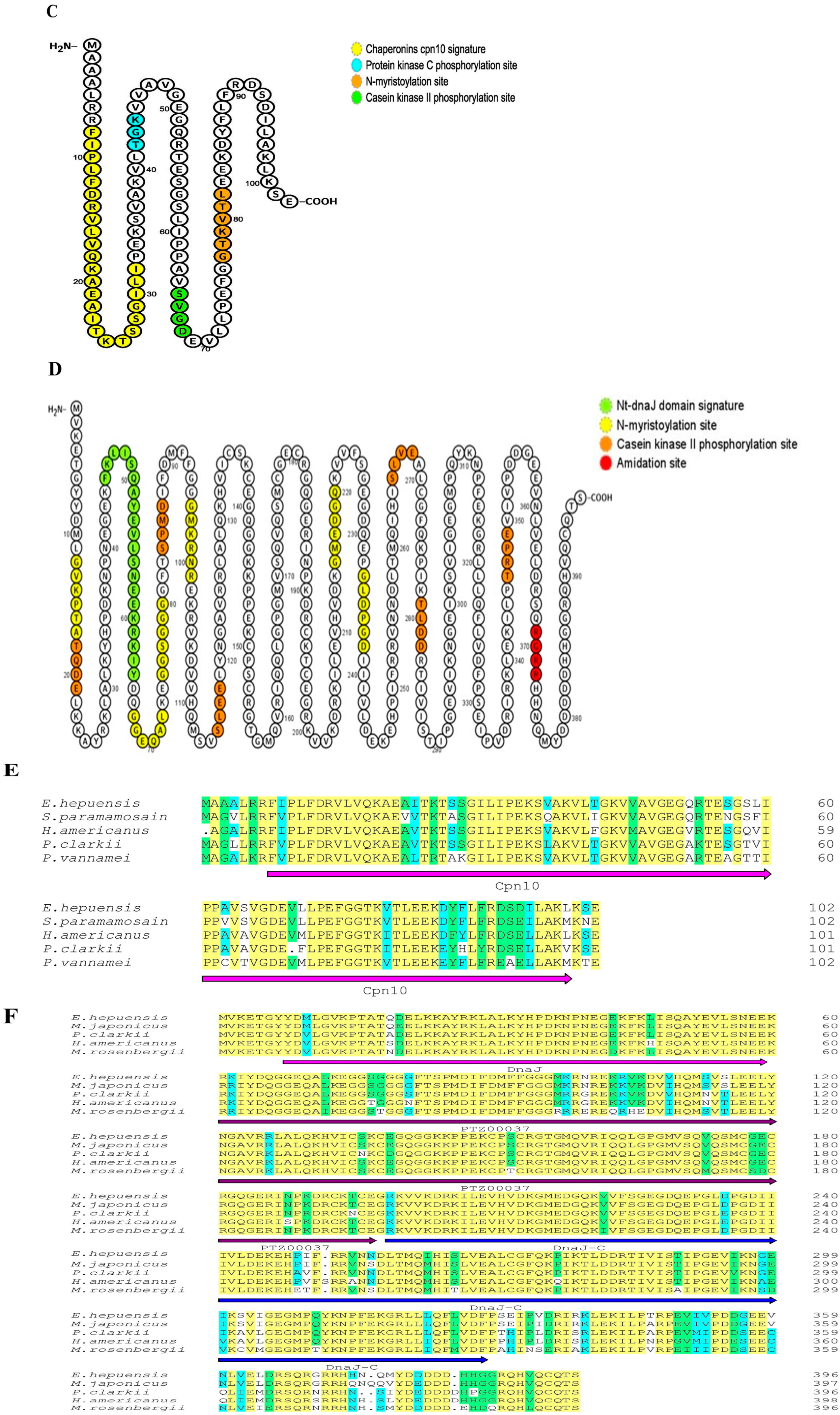 Fishes 07 00372 g002b
