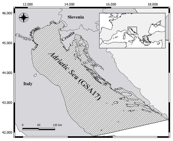 Small-Scale Fisheries in Slovenia (Northeastern Adriatic): From