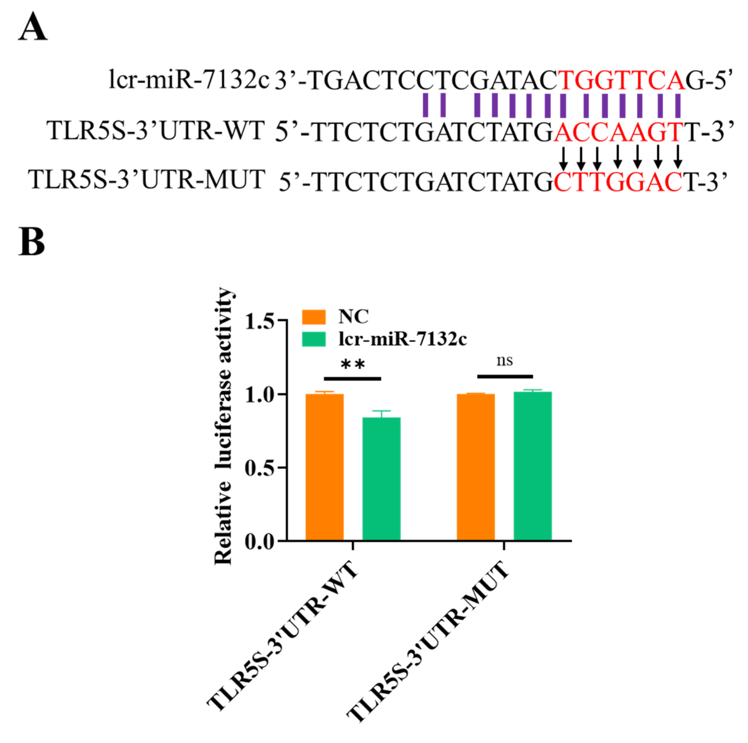 Fishes 08 00010 g006