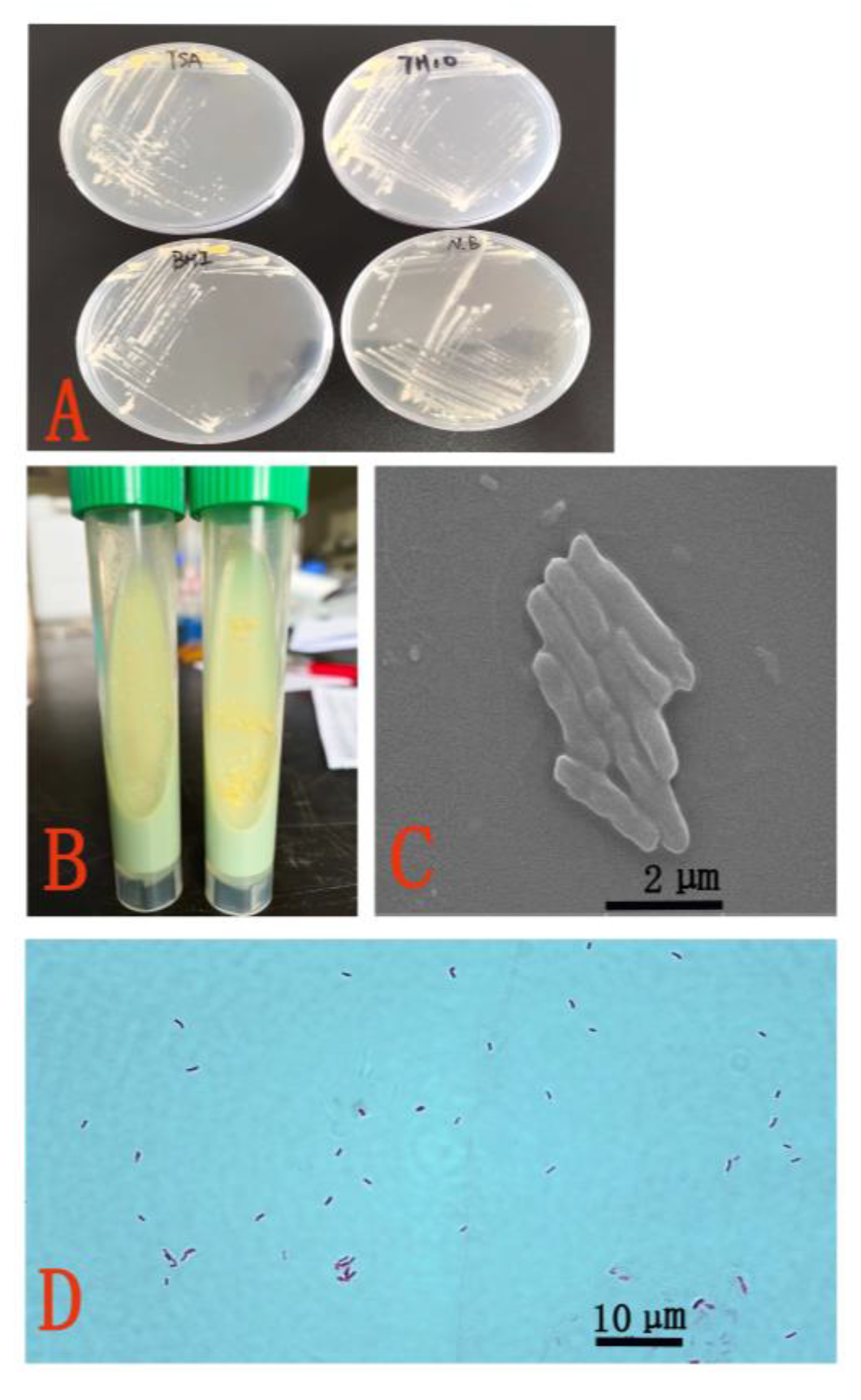 Fishes 08 00033 g002 Fishes 08 00033 g002