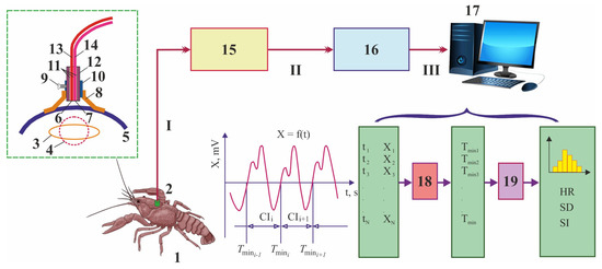 https://www.mdpi.com/fishes/fishes-08-00102/article_deploy/html/images/fishes-08-00102-g004-550.jpg