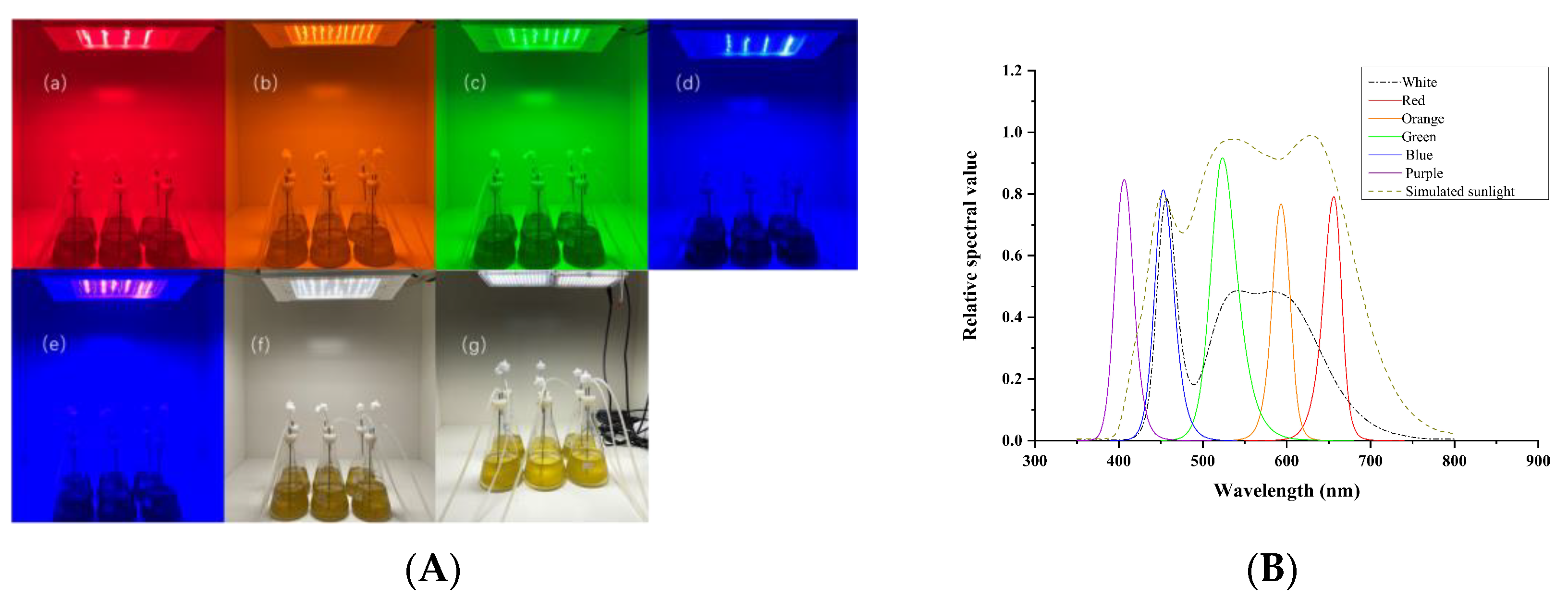 Fishes 08 00124 g001
