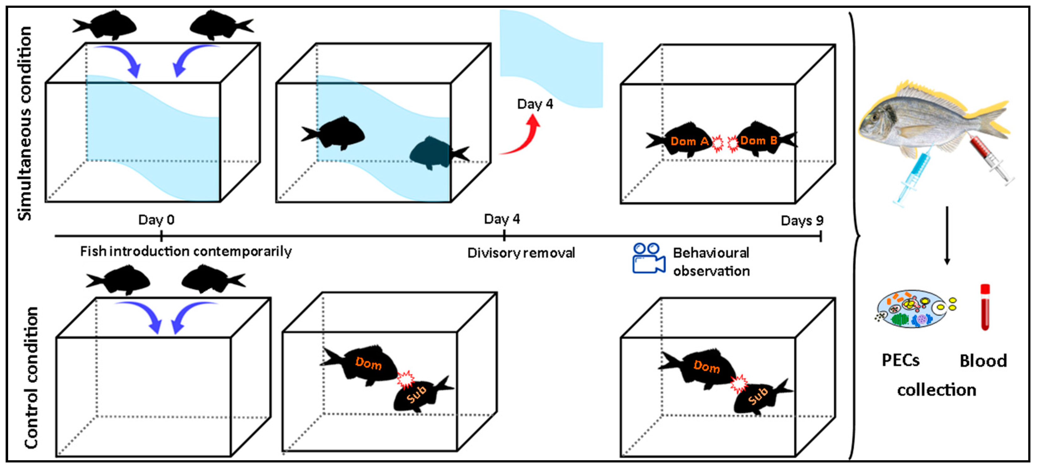 Fishes 08 00132 g002